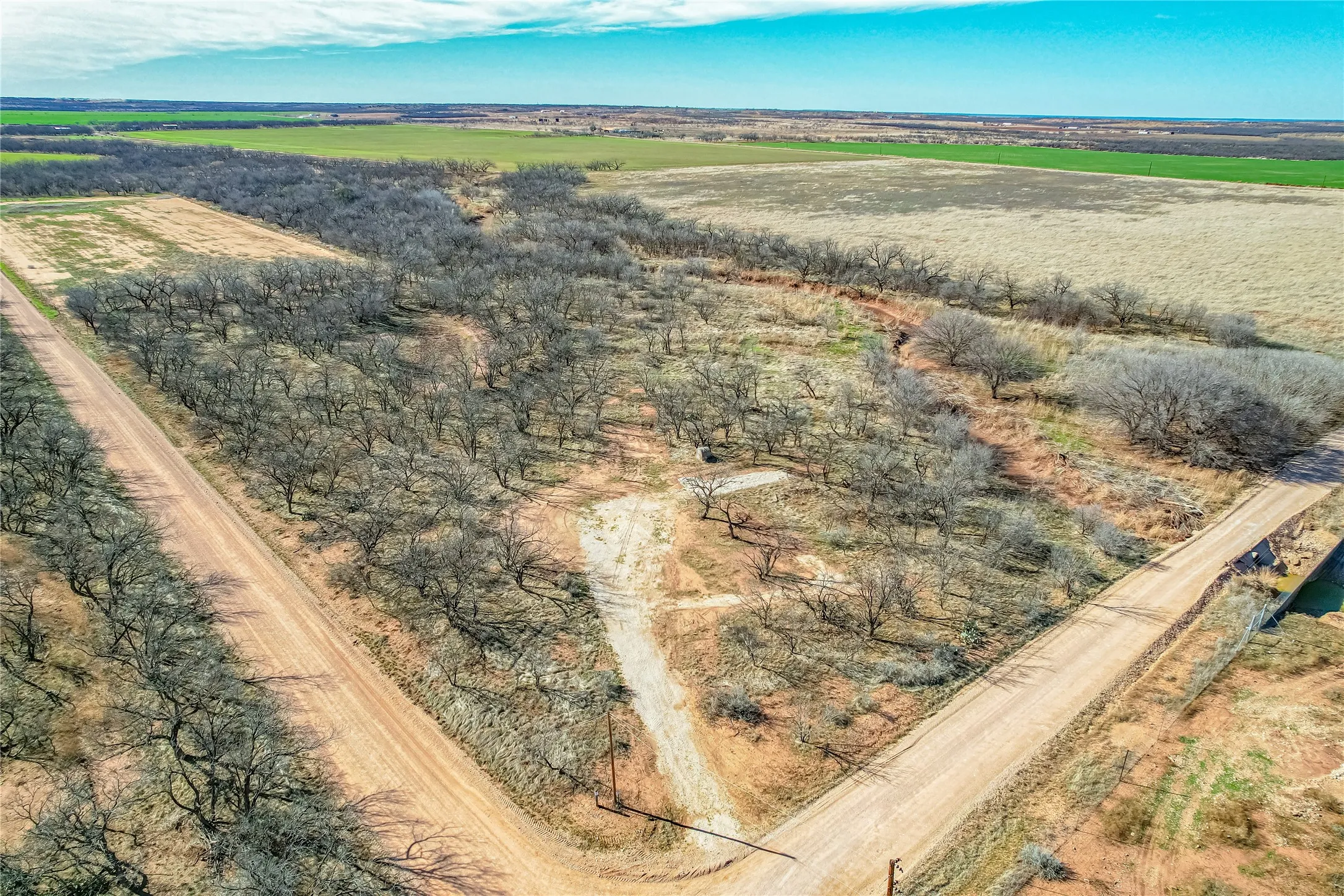 Ranch For Sale in Jones County , TBD CR 432, Merkel, Texas 79536, 0, 0, Garage spaces, 0 Sqft, built in 0, mls#21187093, Real Estate Agent in Merkel, Homes For Sale in Jones county, Homes For Sale in Merkel, Realtor in Merkel Texas, Real Estate Brokerage Independent Realty Texas, Luminita Cordes Realtor