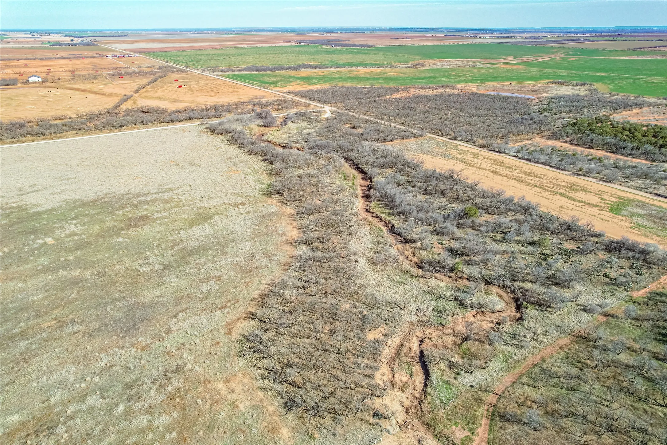 Ranch For Sale in Jones County , TBD CR 432, Merkel, Texas 79536, 0, 0, Garage spaces, 0 Sqft, built in 0, mls#21187093, Real Estate Agent in Merkel, Homes For Sale in Jones county, Homes For Sale in Merkel, Realtor in Merkel Texas, Real Estate Brokerage Independent Realty Texas, Luminita Cordes Realtor