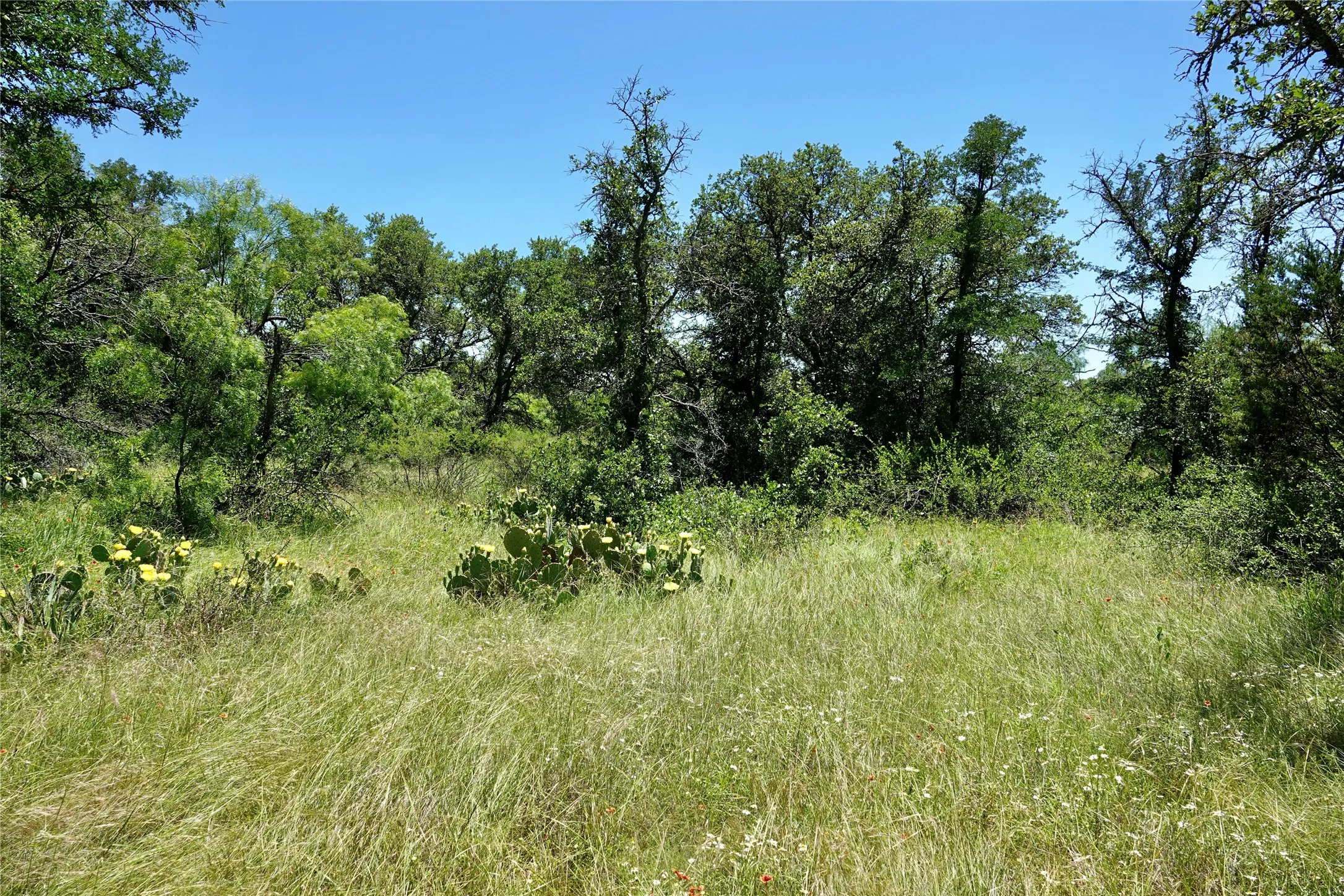 Ranch For Sale in Mills County , 219 CR 550, Mullin, Texas 76864, 0, 0, Garage spaces, 0 Sqft, built in 0, Price $845,000, mls#21187173, Real Estate Agent in Mullin, Homes For Sale in Mills county, Homes For Sale in Mullin, Realtor in Mullin Texas, Real Estate Brokerage Independent Realty Texas, Luminita Cordes Realtor