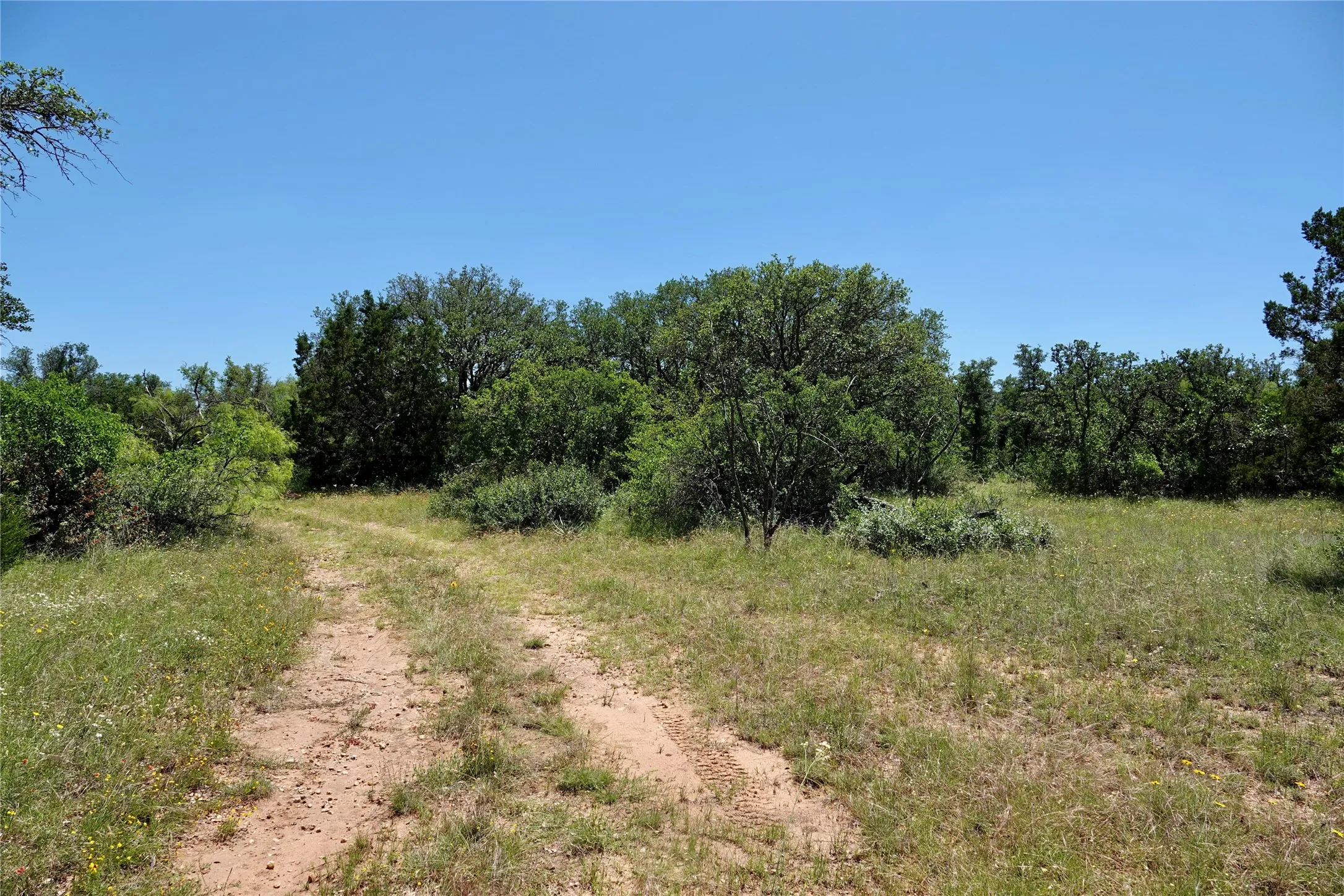 Ranch For Sale in Mills County , 219 CR 550, Mullin, Texas 76864, 0, 0, Garage spaces, 0 Sqft, built in 0, Price $845,000, mls#21187173, Real Estate Agent in Mullin, Homes For Sale in Mills county, Homes For Sale in Mullin, Realtor in Mullin Texas, Real Estate Brokerage Independent Realty Texas, Luminita Cordes Realtor