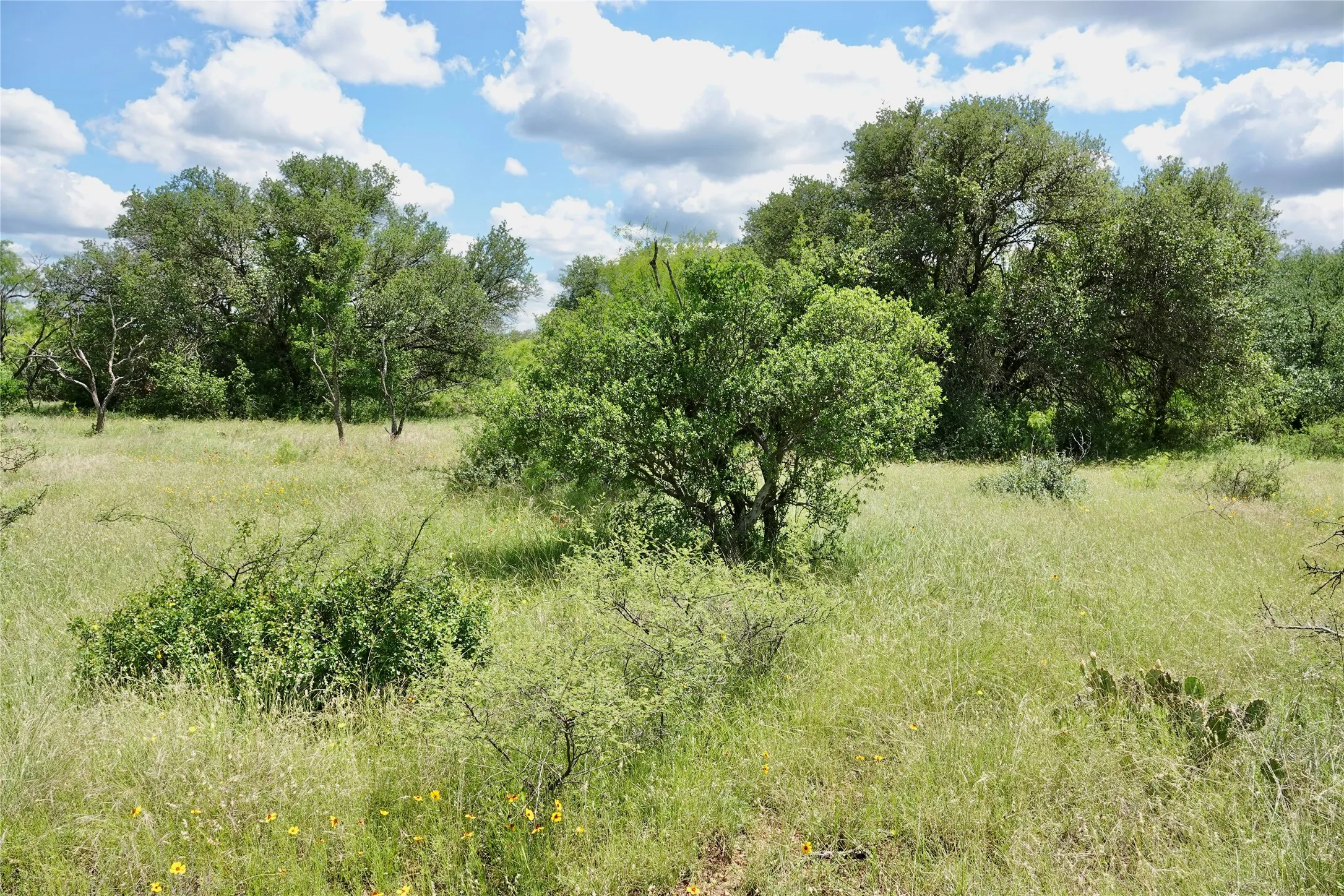 Ranch For Sale in Mills County , 219 CR 550, Mullin, Texas 76864, 0, 0, Garage spaces, 0 Sqft, built in 0, Price $845,000, mls#21187173, Real Estate Agent in Mullin, Homes For Sale in Mills county, Homes For Sale in Mullin, Realtor in Mullin Texas, Real Estate Brokerage Independent Realty Texas, Luminita Cordes Realtor