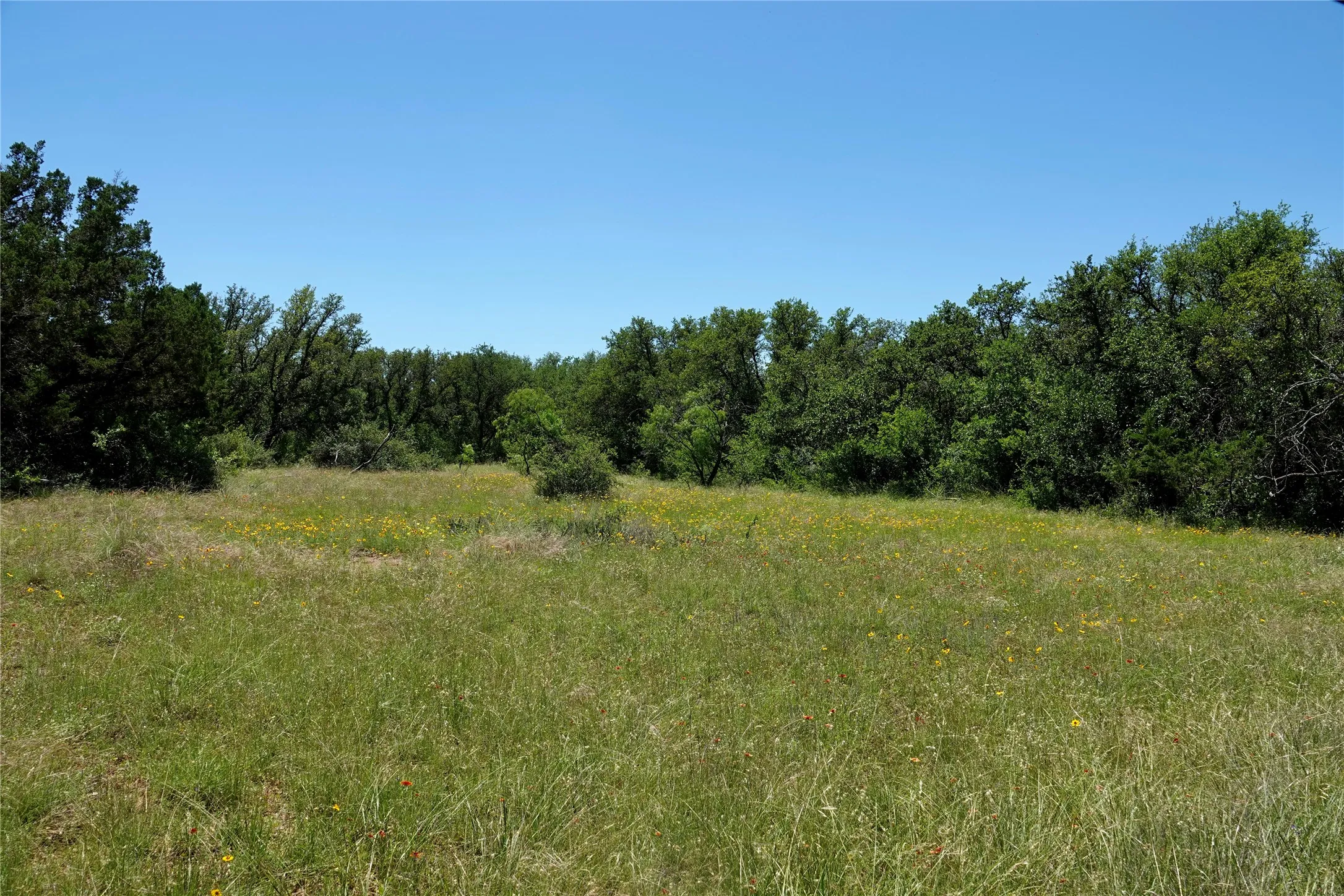 Ranch For Sale in Mills County , 219 CR 550, Mullin, Texas 76864, 0, 0, Garage spaces, 0 Sqft, built in 0, Price $845,000, mls#21187173, Real Estate Agent in Mullin, Homes For Sale in Mills county, Homes For Sale in Mullin, Realtor in Mullin Texas, Real Estate Brokerage Independent Realty Texas, Luminita Cordes Realtor