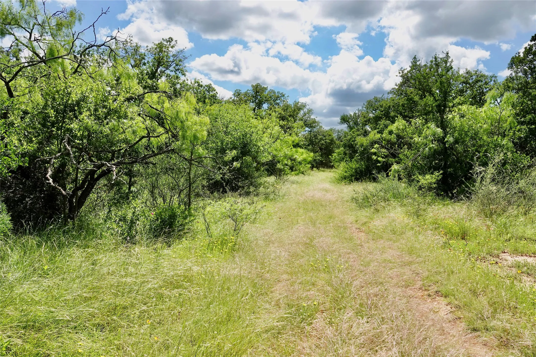 Ranch For Sale in Mills County , 219 CR 550, Mullin, Texas 76864, 0, 0, Garage spaces, 0 Sqft, built in 0, Price $845,000, mls#21187173, Real Estate Agent in Mullin, Homes For Sale in Mills county, Homes For Sale in Mullin, Realtor in Mullin Texas, Real Estate Brokerage Independent Realty Texas, Luminita Cordes Realtor