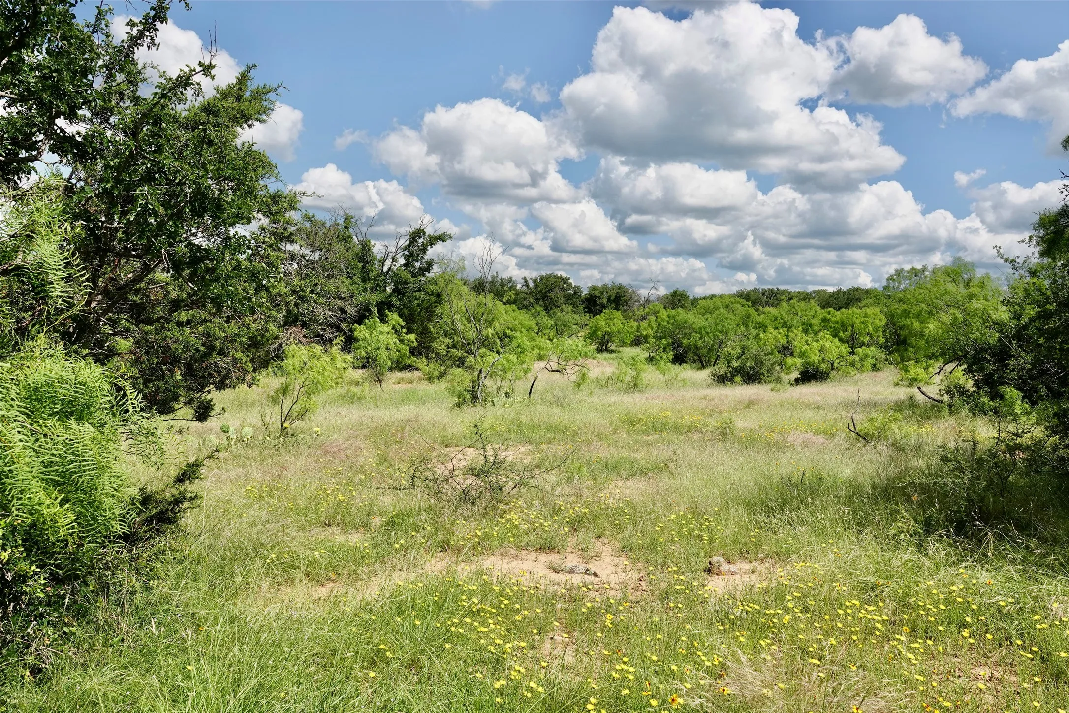 Ranch For Sale in Mills County , 219 CR 550, Mullin, Texas 76864, 0, 0, Garage spaces, 0 Sqft, built in 0, Price $845,000, mls#21187173, Real Estate Agent in Mullin, Homes For Sale in Mills county, Homes For Sale in Mullin, Realtor in Mullin Texas, Real Estate Brokerage Independent Realty Texas, Luminita Cordes Realtor