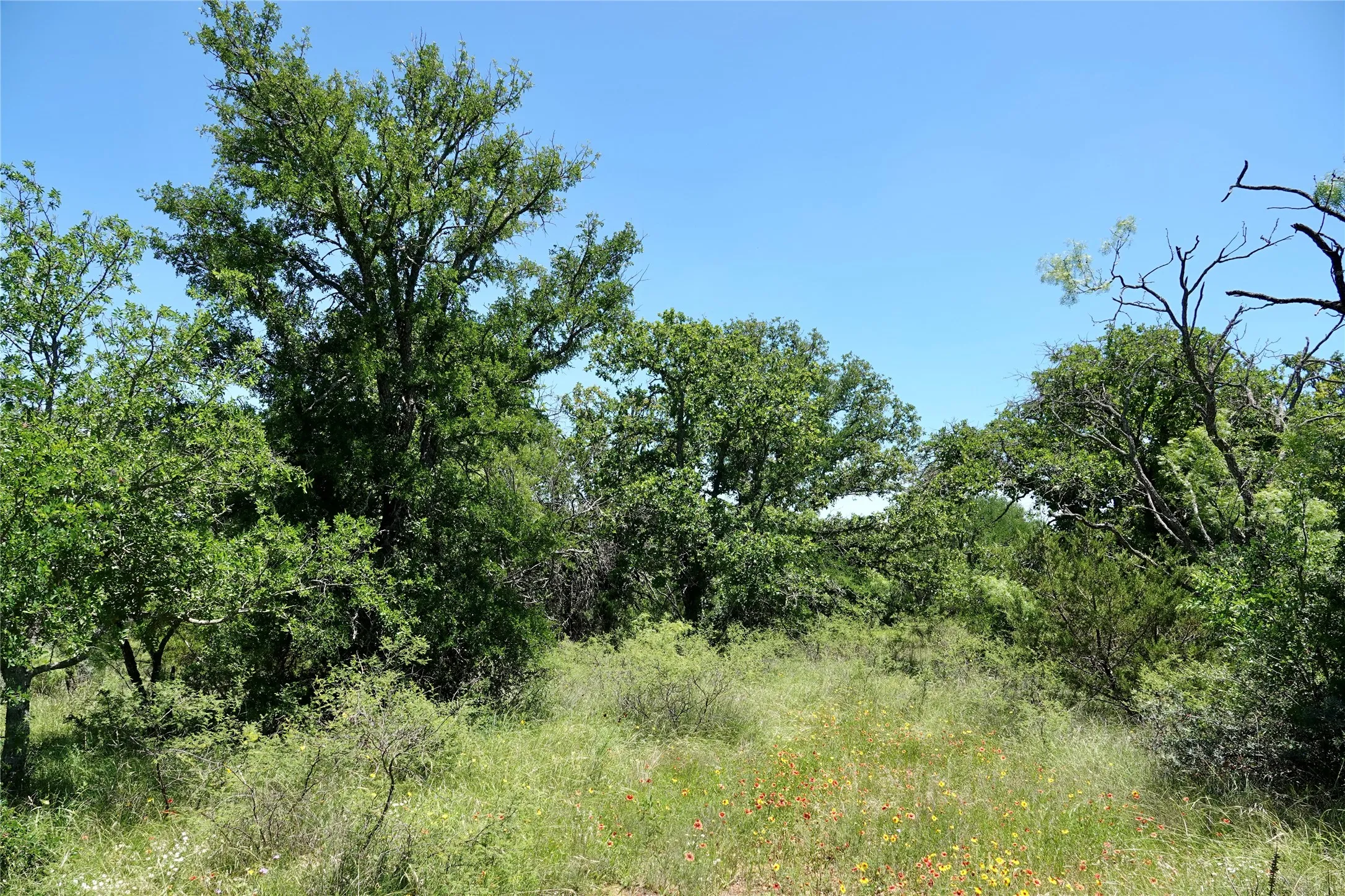 Ranch For Sale in Mills County , 219 CR 550, Mullin, Texas 76864, 0, 0, Garage spaces, 0 Sqft, built in 0, Price $845,000, mls#21187173, Real Estate Agent in Mullin, Homes For Sale in Mills county, Homes For Sale in Mullin, Realtor in Mullin Texas, Real Estate Brokerage Independent Realty Texas, Luminita Cordes Realtor