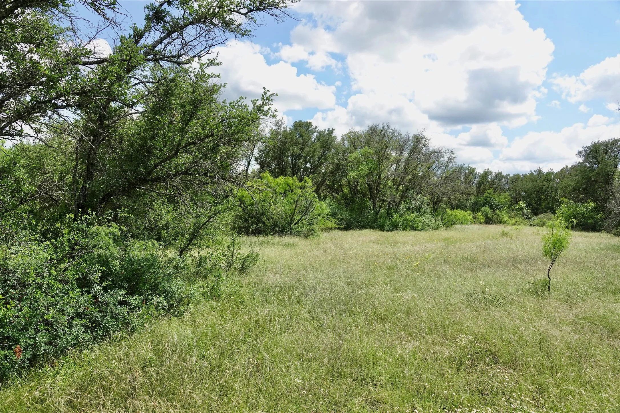 Ranch For Sale in Mills County , 219 CR 550, Mullin, Texas 76864, 0, 0, Garage spaces, 0 Sqft, built in 0, Price $845,000, mls#21187173, Real Estate Agent in Mullin, Homes For Sale in Mills county, Homes For Sale in Mullin, Realtor in Mullin Texas, Real Estate Brokerage Independent Realty Texas, Luminita Cordes Realtor