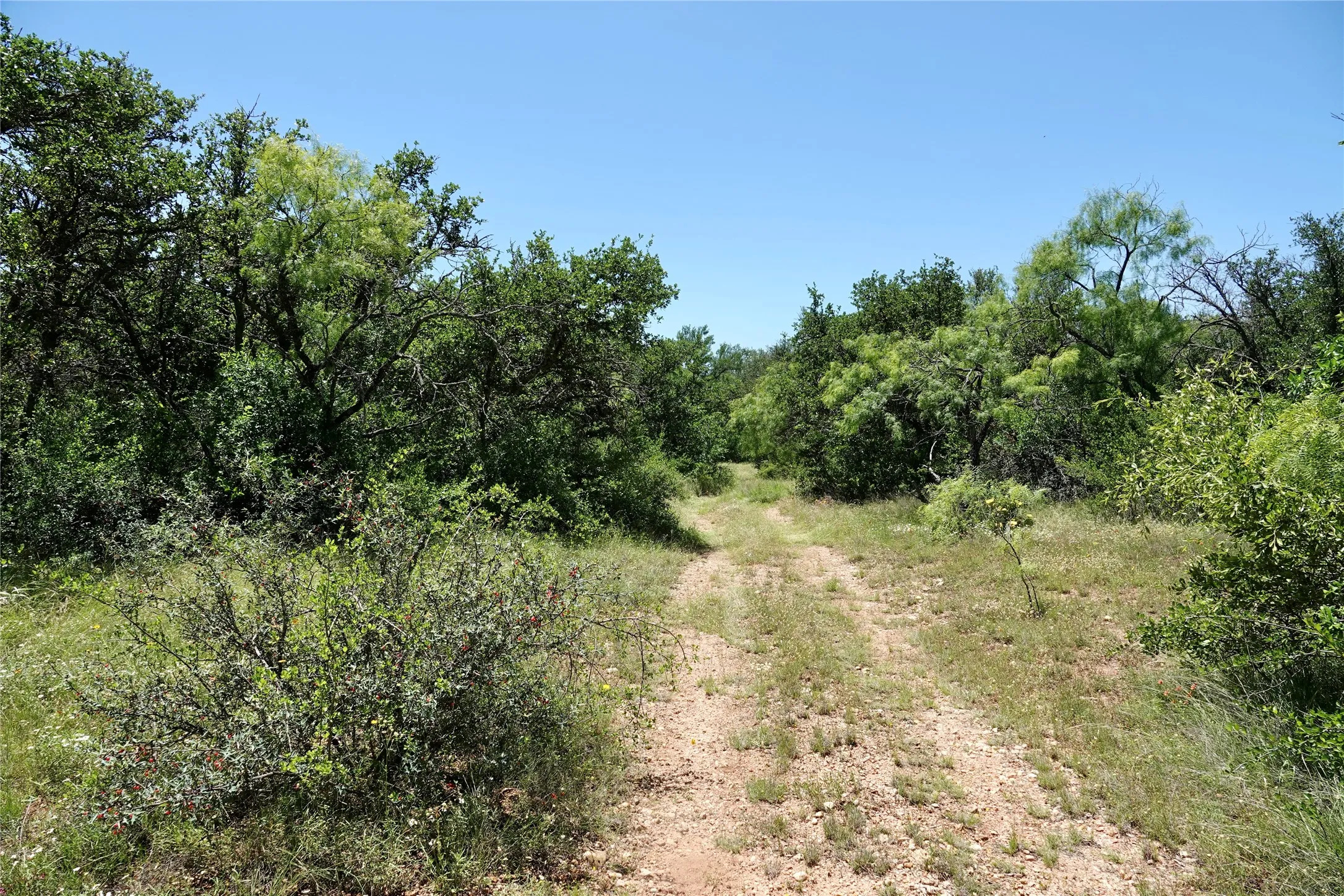 Ranch For Sale in Mills County , 219 CR 550, Mullin, Texas 76864, 0, 0, Garage spaces, 0 Sqft, built in 0, Price $845,000, mls#21187173, Real Estate Agent in Mullin, Homes For Sale in Mills county, Homes For Sale in Mullin, Realtor in Mullin Texas, Real Estate Brokerage Independent Realty Texas, Luminita Cordes Realtor
