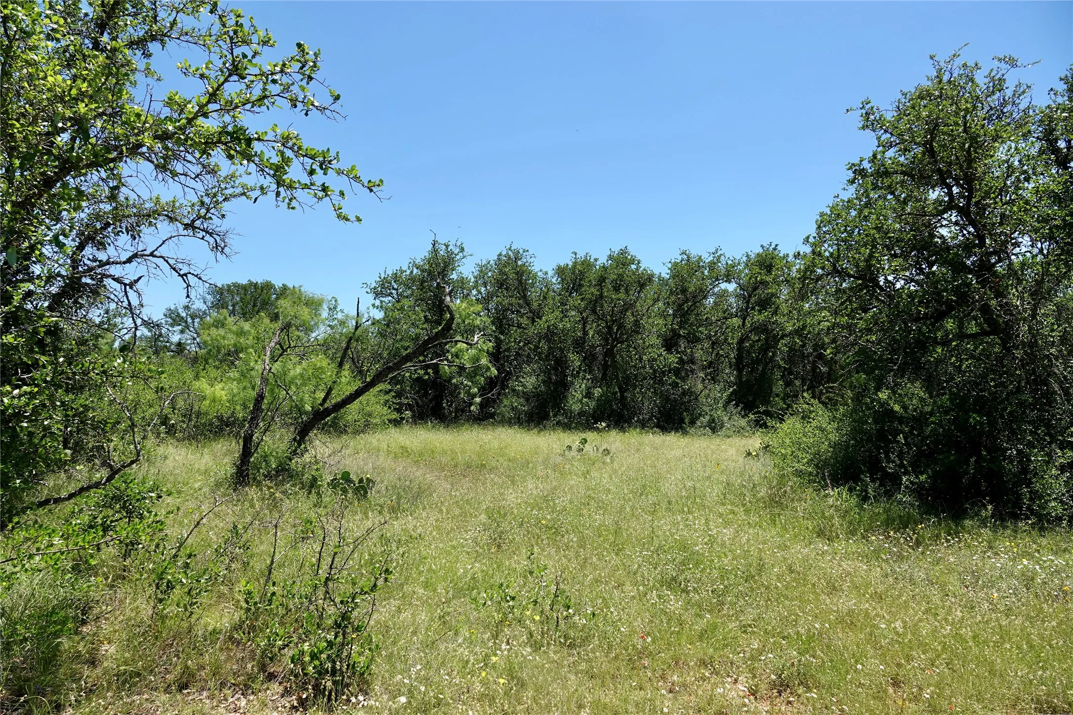 Ranch For Sale in Mills County , 219 CR 550, Mullin, Texas 76864, 0, 0, Garage spaces, 0 Sqft, built in 0, Price $845,000, mls#21187173, Real Estate Agent in Mullin, Homes For Sale in Mills county, Homes For Sale in Mullin, Realtor in Mullin Texas, Real Estate Brokerage Independent Realty Texas, Luminita Cordes Realtor