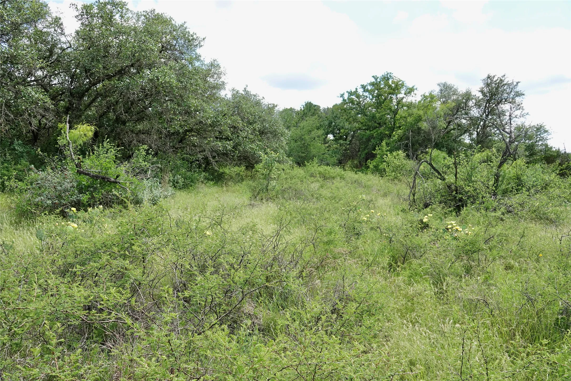 Ranch For Sale in Mills County , 219 CR 550, Mullin, Texas 76864, 0, 0, Garage spaces, 0 Sqft, built in 0, Price $845,000, mls#21187173, Real Estate Agent in Mullin, Homes For Sale in Mills county, Homes For Sale in Mullin, Realtor in Mullin Texas, Real Estate Brokerage Independent Realty Texas, Luminita Cordes Realtor