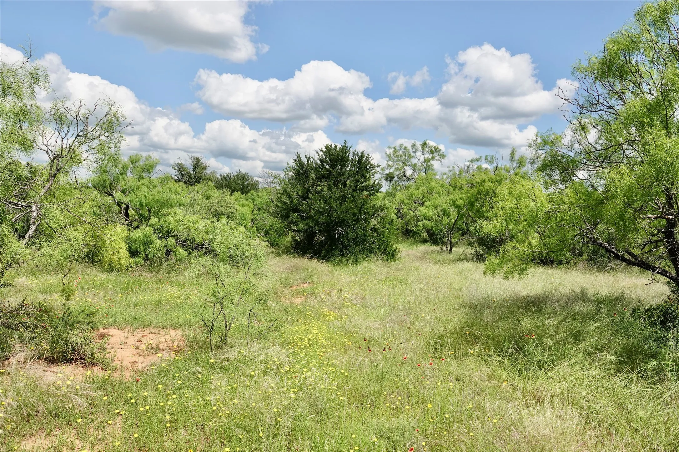 Ranch For Sale in Mills County , 219 CR 550, Mullin, Texas 76864, 0, 0, Garage spaces, 0 Sqft, built in 0, Price $845,000, mls#21187173, Real Estate Agent in Mullin, Homes For Sale in Mills county, Homes For Sale in Mullin, Realtor in Mullin Texas, Real Estate Brokerage Independent Realty Texas, Luminita Cordes Realtor