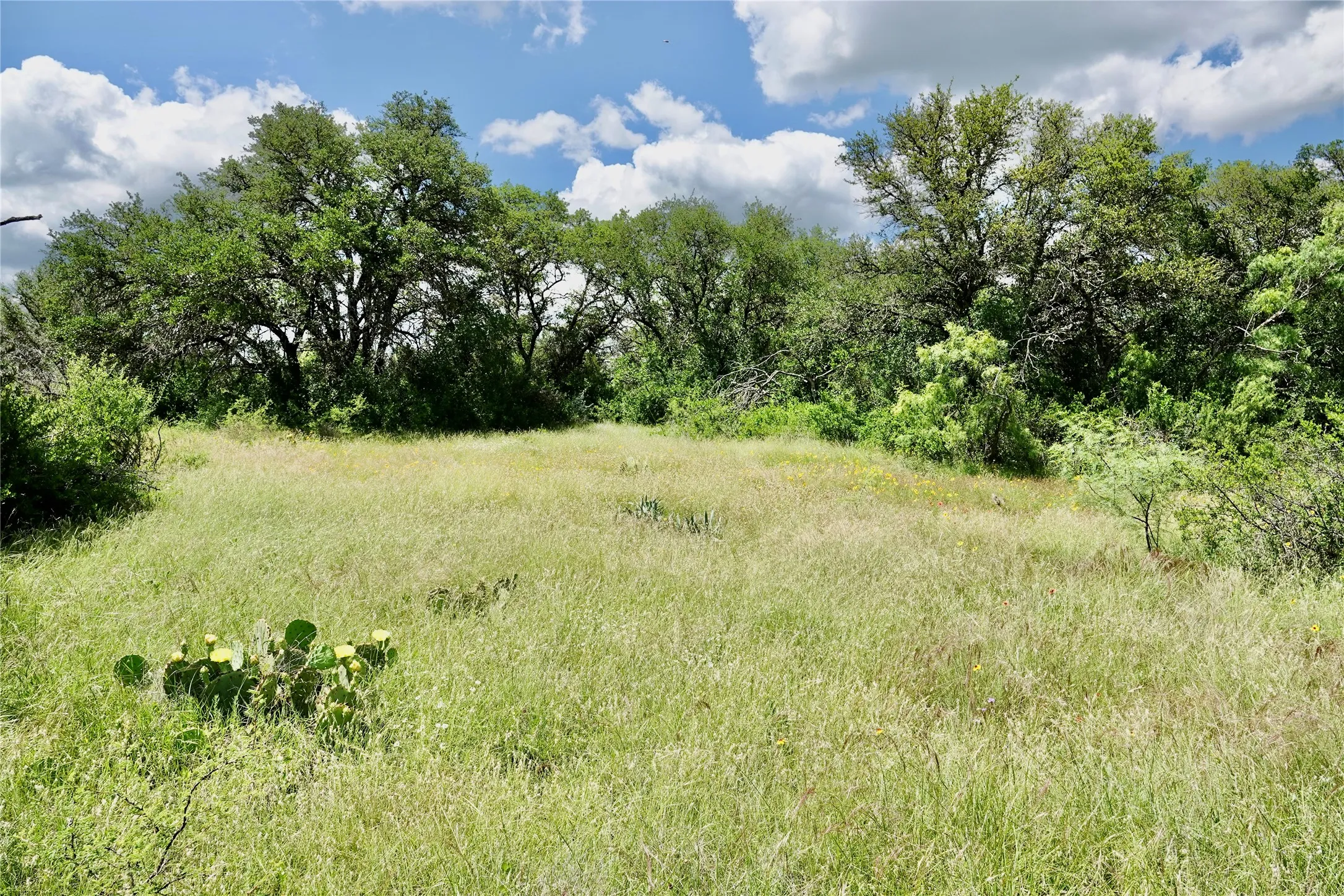 Ranch For Sale in Mills County , 219 CR 550, Mullin, Texas 76864, 0, 0, Garage spaces, 0 Sqft, built in 0, Price $845,000, mls#21187173, Real Estate Agent in Mullin, Homes For Sale in Mills county, Homes For Sale in Mullin, Realtor in Mullin Texas, Real Estate Brokerage Independent Realty Texas, Luminita Cordes Realtor