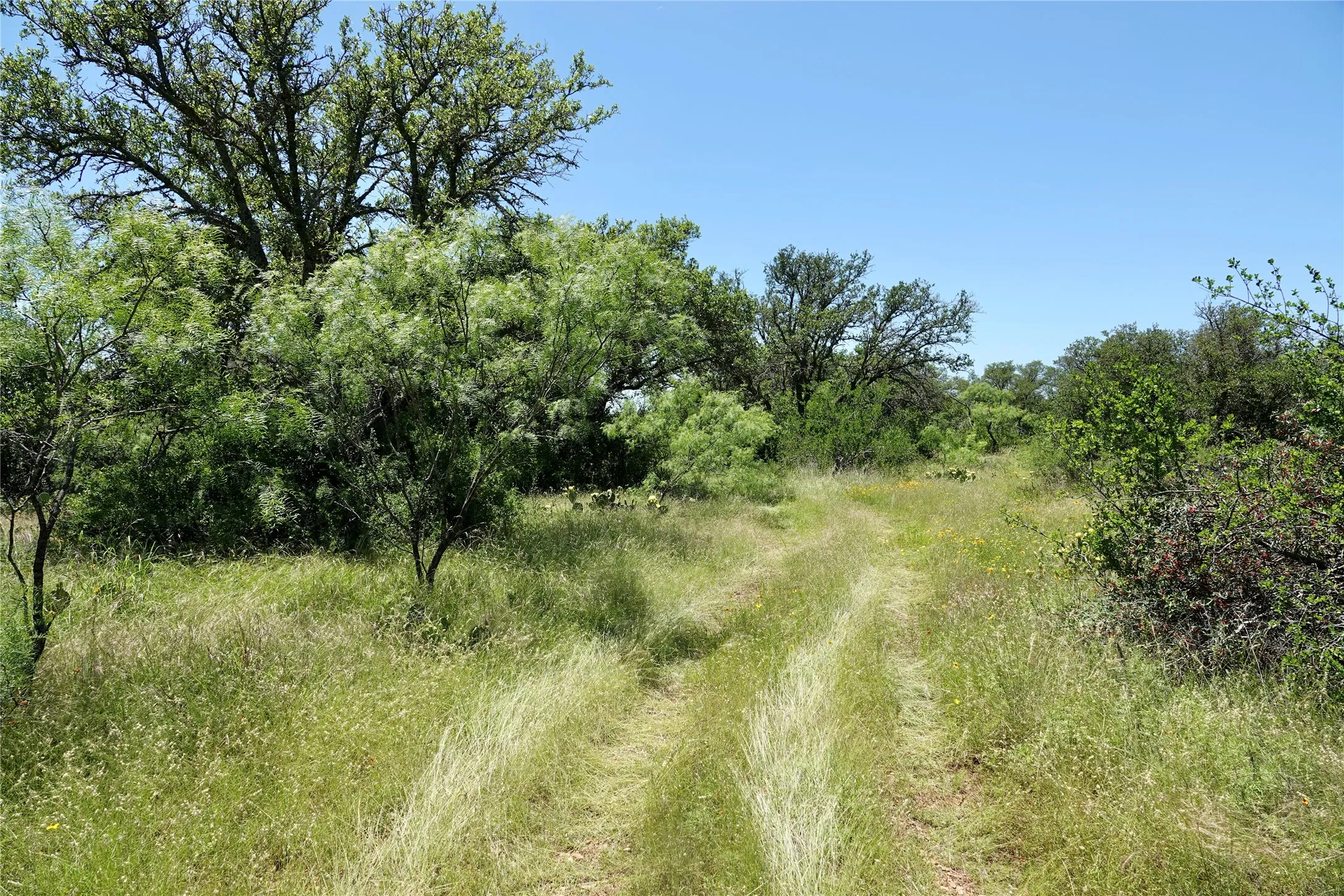 Ranch For Sale in Mills County , 219 CR 550, Mullin, Texas 76864, 0, 0, Garage spaces, 0 Sqft, built in 0, Price $845,000, mls#21187173, Real Estate Agent in Mullin, Homes For Sale in Mills county, Homes For Sale in Mullin, Realtor in Mullin Texas, Real Estate Brokerage Independent Realty Texas, Luminita Cordes Realtor