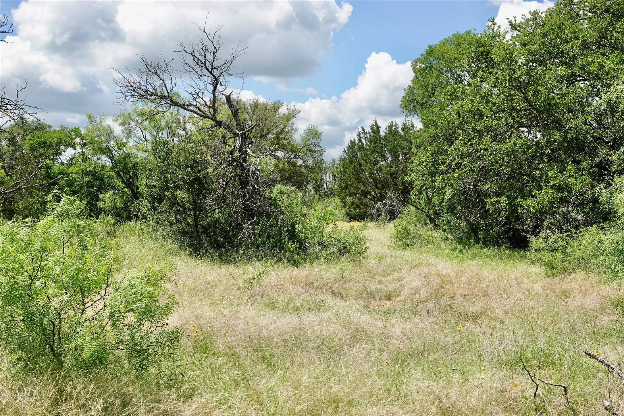 Ranch For Sale in Mills County , 219 CR 550, Mullin, Texas 76864, 0, 0, Garage spaces, 0 Sqft, built in 0, Price $845,000, mls#21187173, Real Estate Agent in Mullin, Homes For Sale in Mills county, Homes For Sale in Mullin, Realtor in Mullin Texas, Real Estate Brokerage Independent Realty Texas, Luminita Cordes Realtor