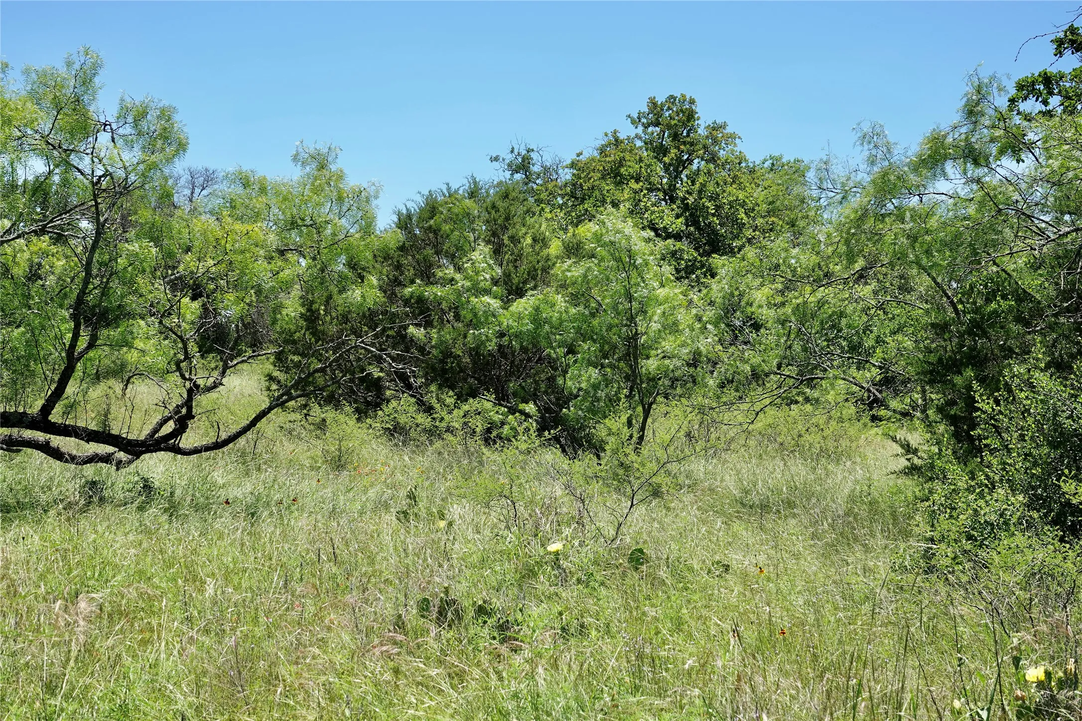 Ranch For Sale in Mills County , 219 CR 550, Mullin, Texas 76864, 0, 0, Garage spaces, 0 Sqft, built in 0, Price $845,000, mls#21187173, Real Estate Agent in Mullin, Homes For Sale in Mills county, Homes For Sale in Mullin, Realtor in Mullin Texas, Real Estate Brokerage Independent Realty Texas, Luminita Cordes Realtor