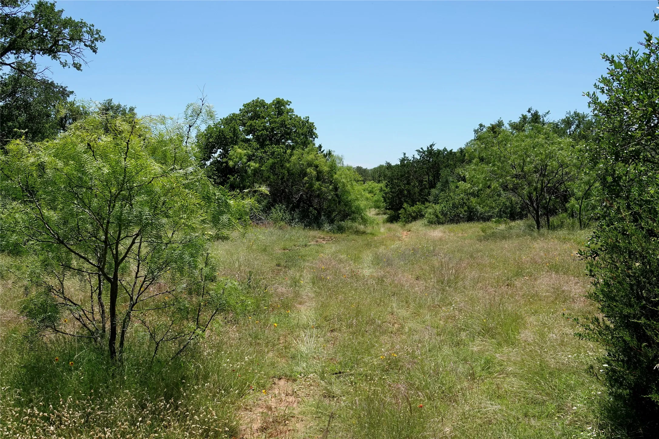 Ranch For Sale in Mills County , 219 CR 550, Mullin, Texas 76864, 0, 0, Garage spaces, 0 Sqft, built in 0, Price $845,000, mls#21187173, Real Estate Agent in Mullin, Homes For Sale in Mills county, Homes For Sale in Mullin, Realtor in Mullin Texas, Real Estate Brokerage Independent Realty Texas, Luminita Cordes Realtor
