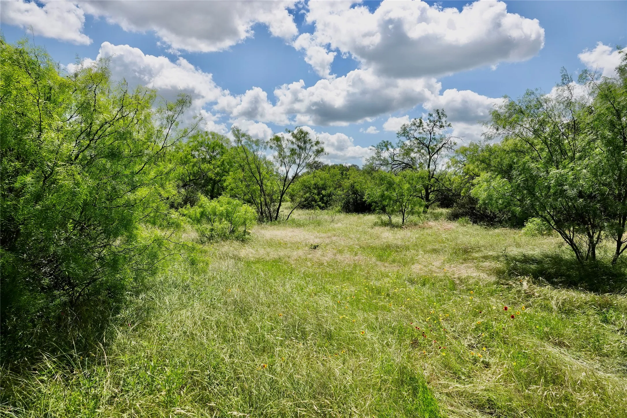 Ranch For Sale in Mills County , 219 CR 550, Mullin, Texas 76864, 0, 0, Garage spaces, 0 Sqft, built in 0, Price $845,000, mls#21187173, Real Estate Agent in Mullin, Homes For Sale in Mills county, Homes For Sale in Mullin, Realtor in Mullin Texas, Real Estate Brokerage Independent Realty Texas, Luminita Cordes Realtor