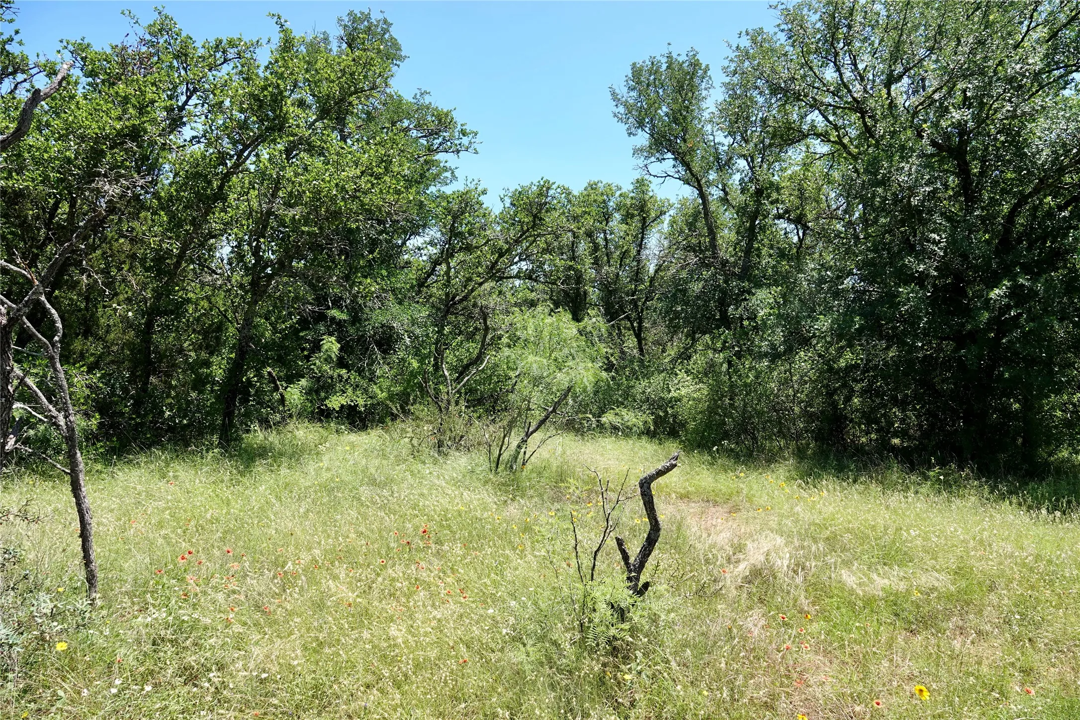 Ranch For Sale in Mills County , 219 CR 550, Mullin, Texas 76864, 0, 0, Garage spaces, 0 Sqft, built in 0, Price $845,000, mls#21187173, Real Estate Agent in Mullin, Homes For Sale in Mills county, Homes For Sale in Mullin, Realtor in Mullin Texas, Real Estate Brokerage Independent Realty Texas, Luminita Cordes Realtor
