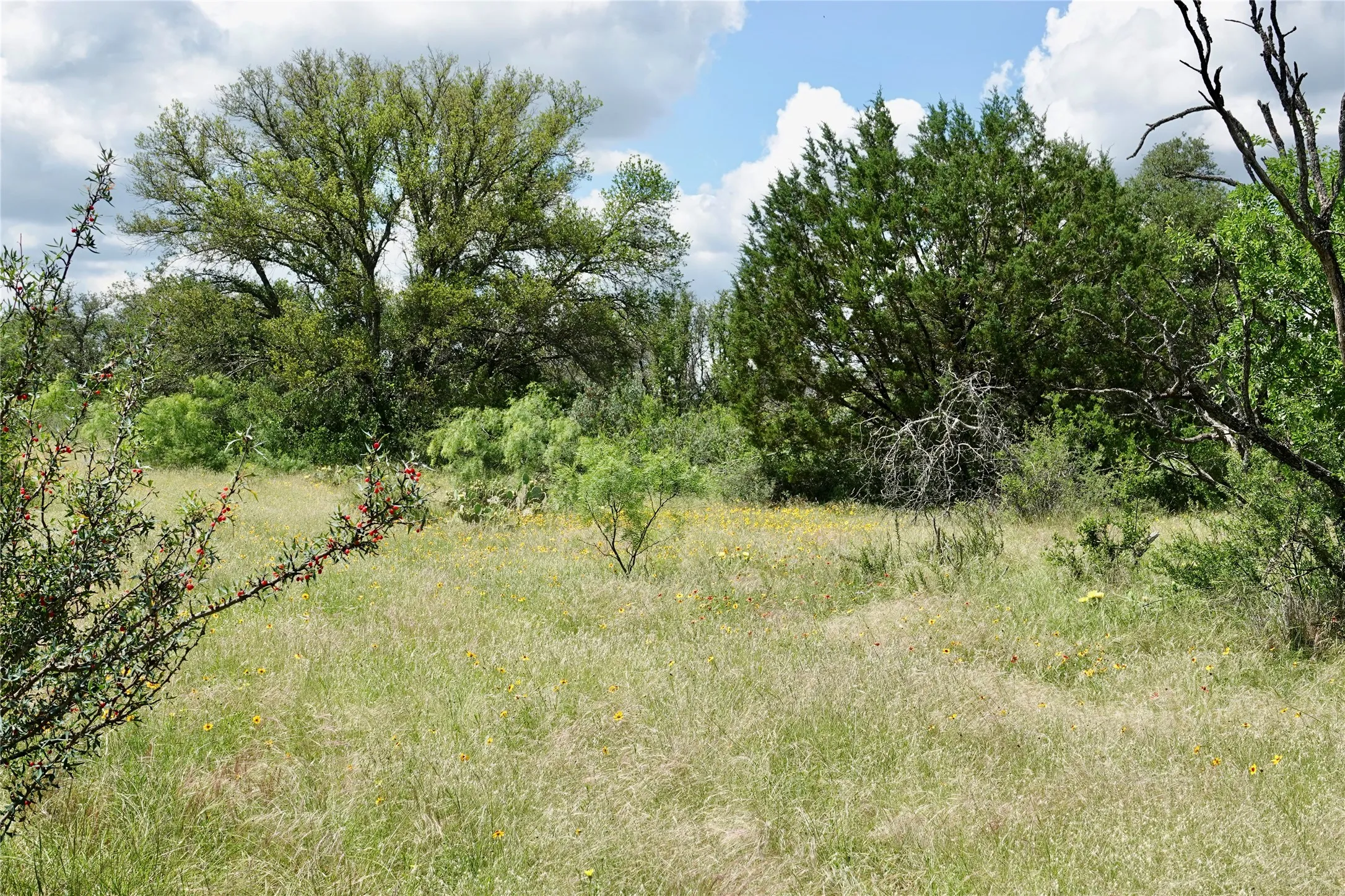 Ranch For Sale in Mills County , 219 CR 550, Mullin, Texas 76864, 0, 0, Garage spaces, 0 Sqft, built in 0, Price $845,000, mls#21187173, Real Estate Agent in Mullin, Homes For Sale in Mills county, Homes For Sale in Mullin, Realtor in Mullin Texas, Real Estate Brokerage Independent Realty Texas, Luminita Cordes Realtor