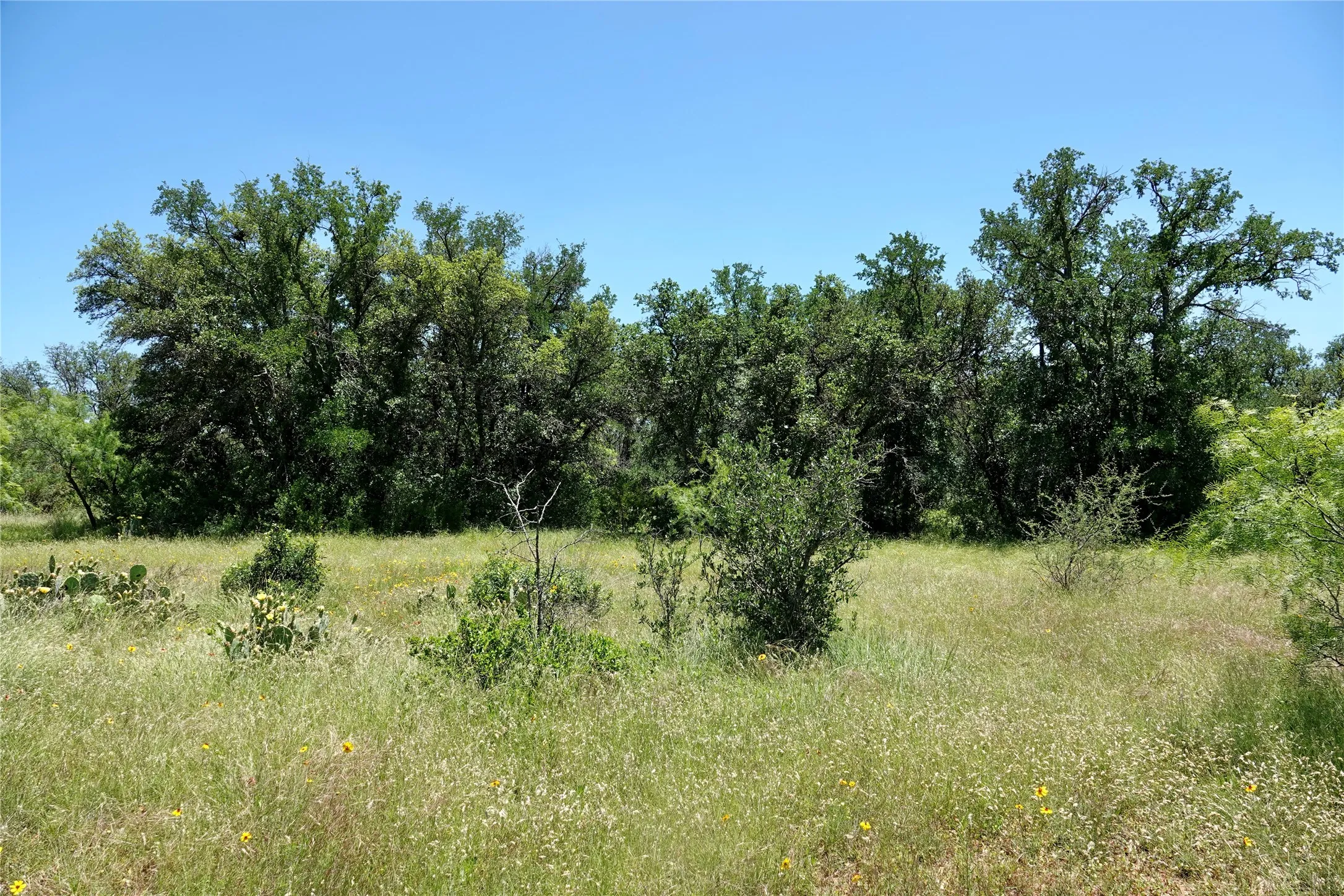 Ranch For Sale in Mills County , 219 CR 550, Mullin, Texas 76864, 0, 0, Garage spaces, 0 Sqft, built in 0, Price $845,000, mls#21187173, Real Estate Agent in Mullin, Homes For Sale in Mills county, Homes For Sale in Mullin, Realtor in Mullin Texas, Real Estate Brokerage Independent Realty Texas, Luminita Cordes Realtor