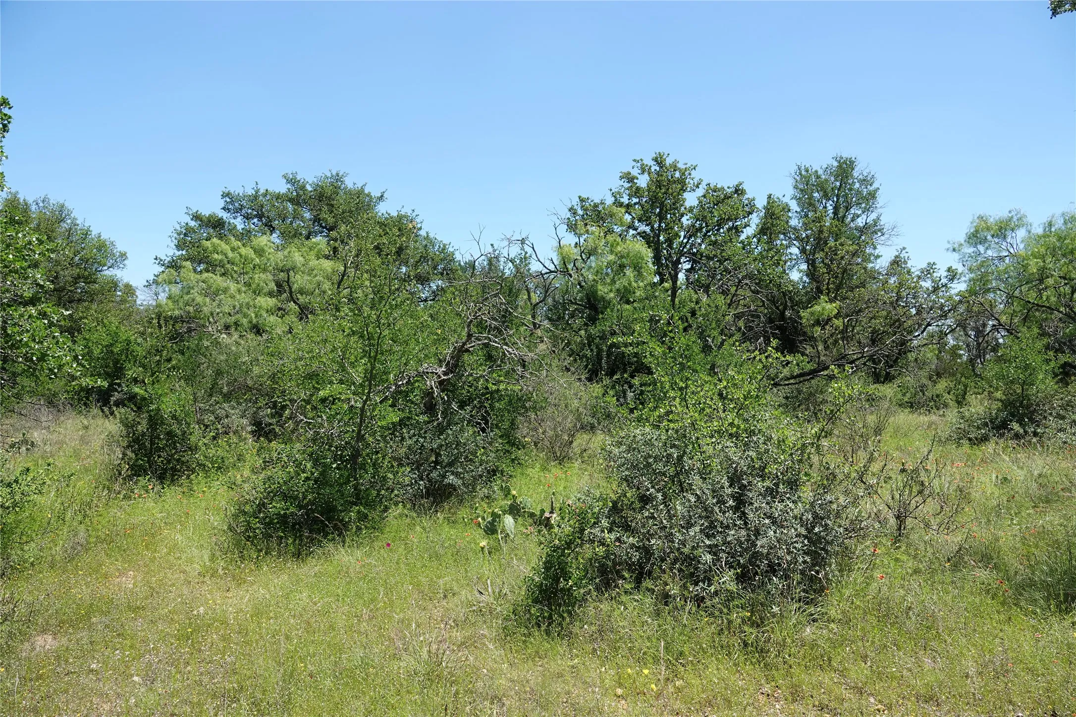 Ranch For Sale in Mills County , 219 CR 550, Mullin, Texas 76864, 0, 0, Garage spaces, 0 Sqft, built in 0, Price $845,000, mls#21187173, Real Estate Agent in Mullin, Homes For Sale in Mills county, Homes For Sale in Mullin, Realtor in Mullin Texas, Real Estate Brokerage Independent Realty Texas, Luminita Cordes Realtor