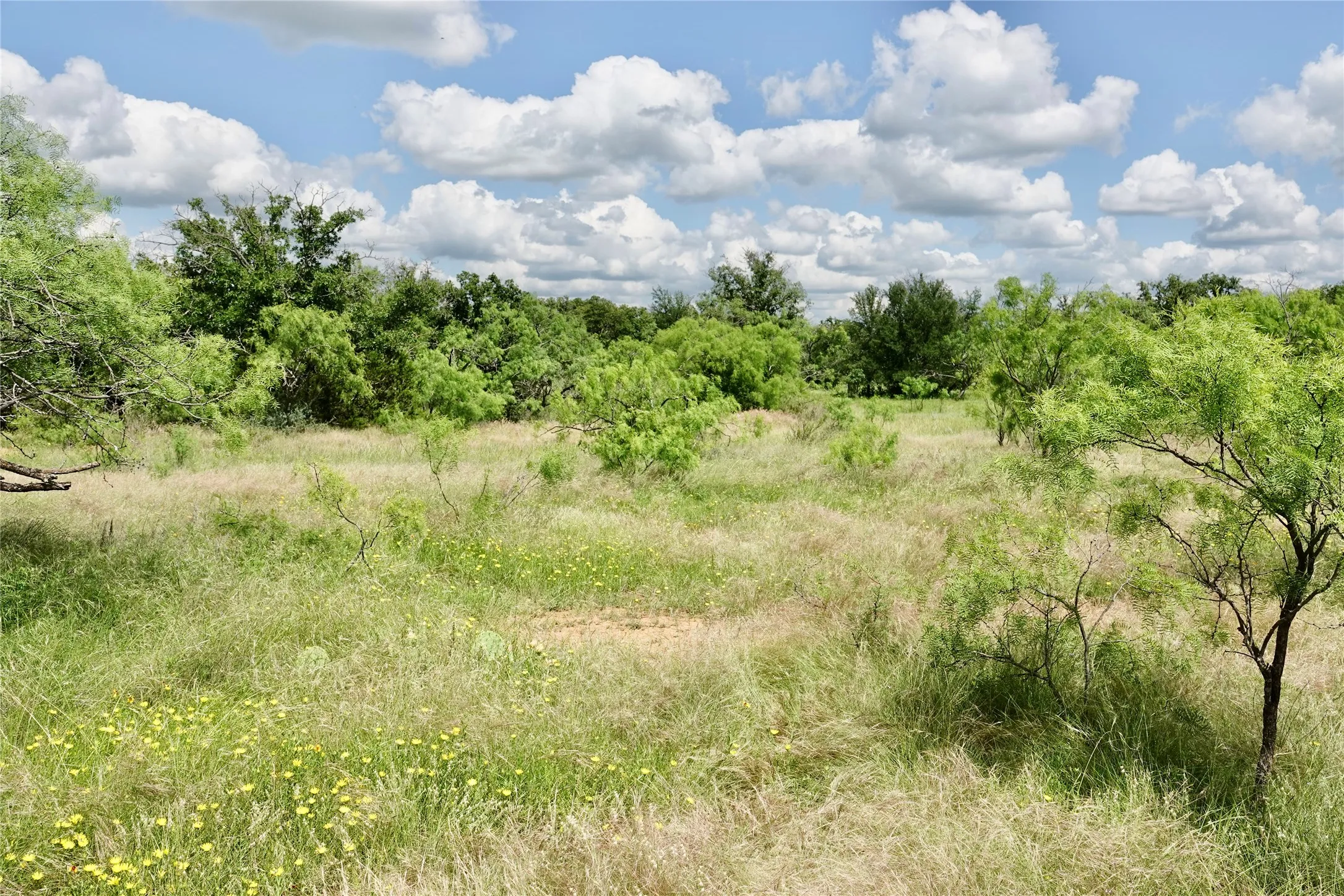 Ranch For Sale in Mills County , 219 CR 550, Mullin, Texas 76864, 0, 0, Garage spaces, 0 Sqft, built in 0, Price $845,000, mls#21187173, Real Estate Agent in Mullin, Homes For Sale in Mills county, Homes For Sale in Mullin, Realtor in Mullin Texas, Real Estate Brokerage Independent Realty Texas, Luminita Cordes Realtor