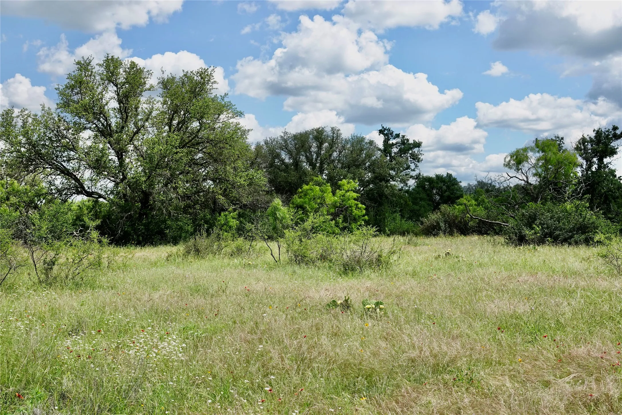 Ranch For Sale in Mills County , 219 CR 550, Mullin, Texas 76864, 0, 0, Garage spaces, 0 Sqft, built in 0, Price $845,000, mls#21187173, Real Estate Agent in Mullin, Homes For Sale in Mills county, Homes For Sale in Mullin, Realtor in Mullin Texas, Real Estate Brokerage Independent Realty Texas, Luminita Cordes Realtor
