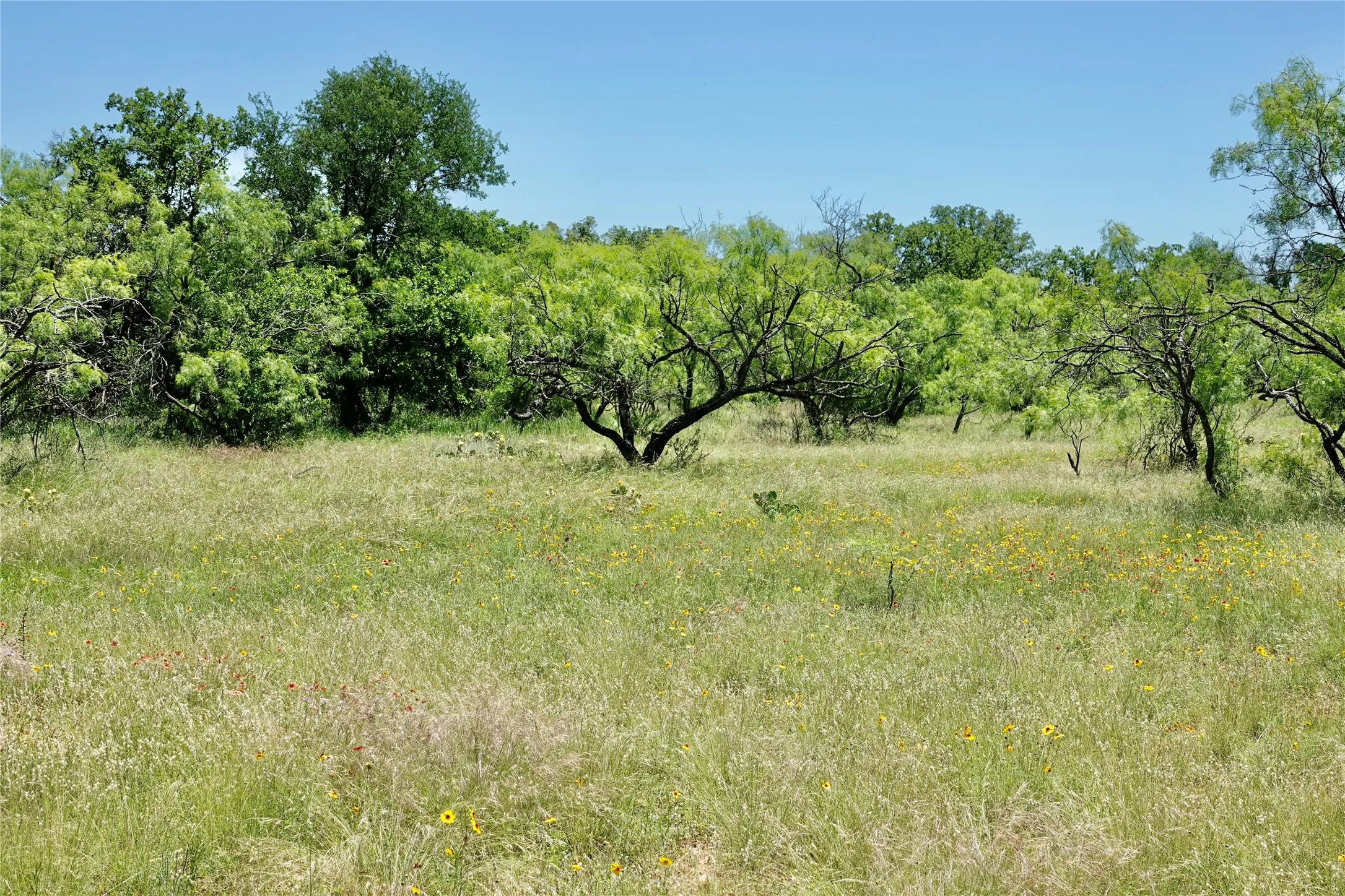 Ranch For Sale in Mills County , 219 CR 550, Mullin, Texas 76864, 0, 0, Garage spaces, 0 Sqft, built in 0, Price $845,000, mls#21187173, Real Estate Agent in Mullin, Homes For Sale in Mills county, Homes For Sale in Mullin, Realtor in Mullin Texas, Real Estate Brokerage Independent Realty Texas, Luminita Cordes Realtor