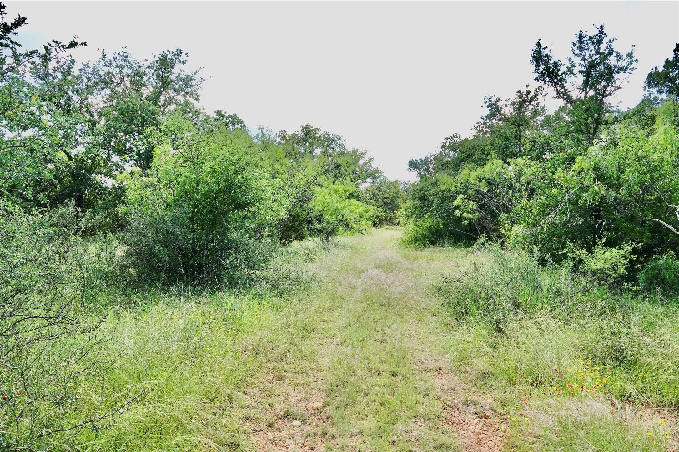 Ranch For Sale in Mills County , 219 CR 550, Mullin, Texas 76864, 0, 0, Garage spaces, 0 Sqft, built in 0, Price $845,000, mls#21187173, Real Estate Agent in Mullin, Homes For Sale in Mills county, Homes For Sale in Mullin, Realtor in Mullin Texas, Real Estate Brokerage Independent Realty Texas, Luminita Cordes Realtor