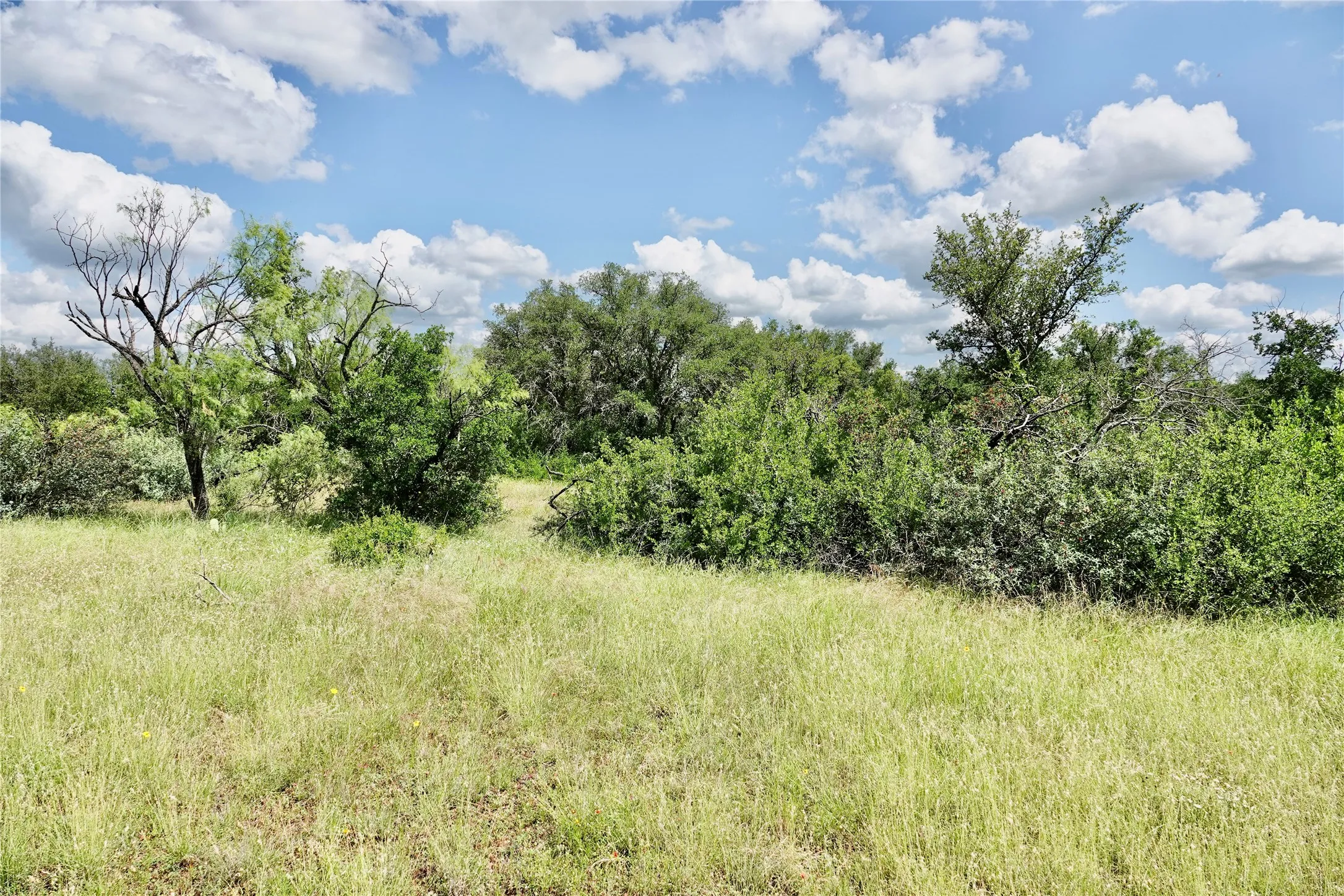 Ranch For Sale in Mills County , 219 CR 550, Mullin, Texas 76864, 0, 0, Garage spaces, 0 Sqft, built in 0, Price $845,000, mls#21187173, Real Estate Agent in Mullin, Homes For Sale in Mills county, Homes For Sale in Mullin, Realtor in Mullin Texas, Real Estate Brokerage Independent Realty Texas, Luminita Cordes Realtor