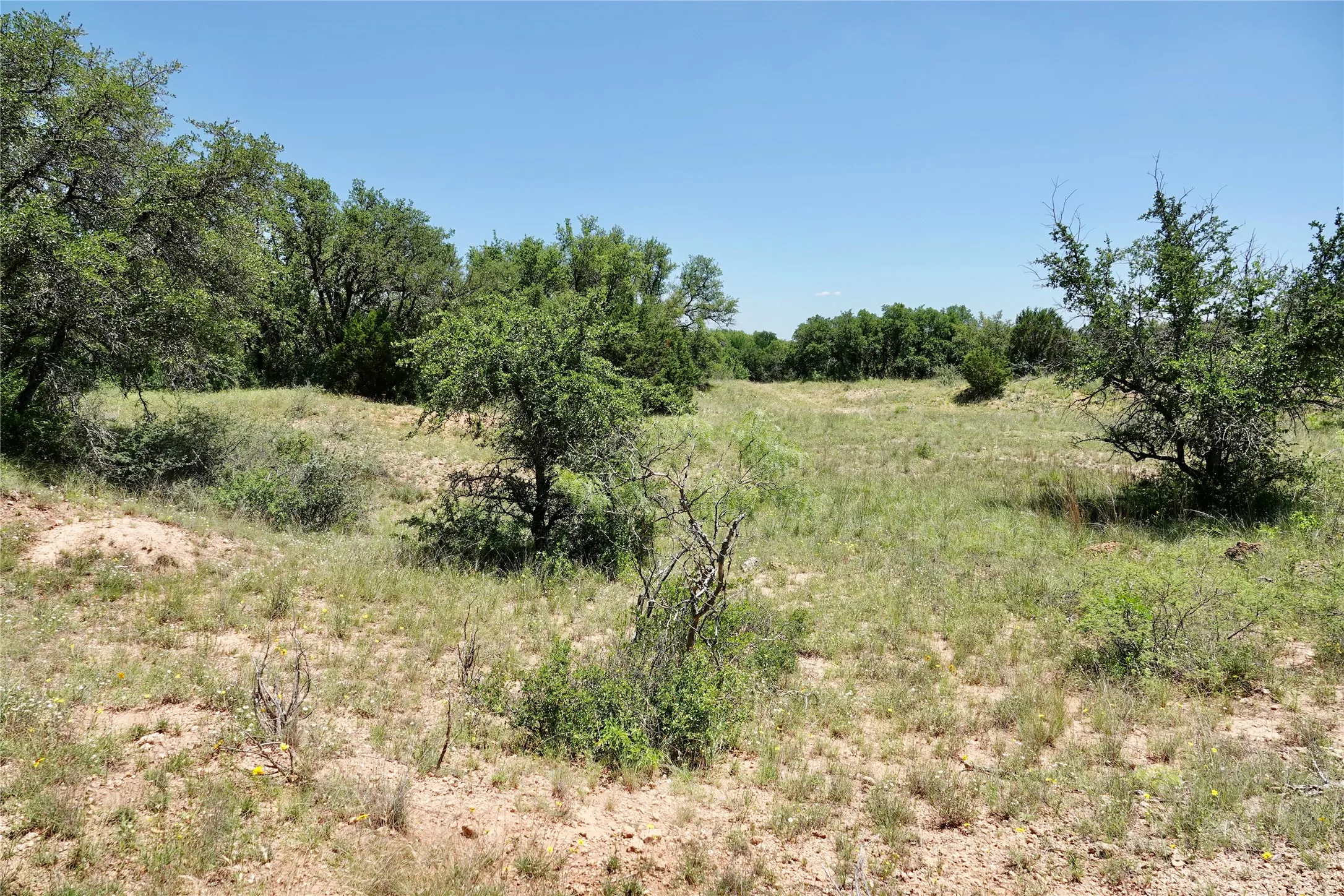 Ranch For Sale in Mills County , 219 CR 550, Mullin, Texas 76864, 0, 0, Garage spaces, 0 Sqft, built in 0, Price $845,000, mls#21187173, Real Estate Agent in Mullin, Homes For Sale in Mills county, Homes For Sale in Mullin, Realtor in Mullin Texas, Real Estate Brokerage Independent Realty Texas, Luminita Cordes Realtor