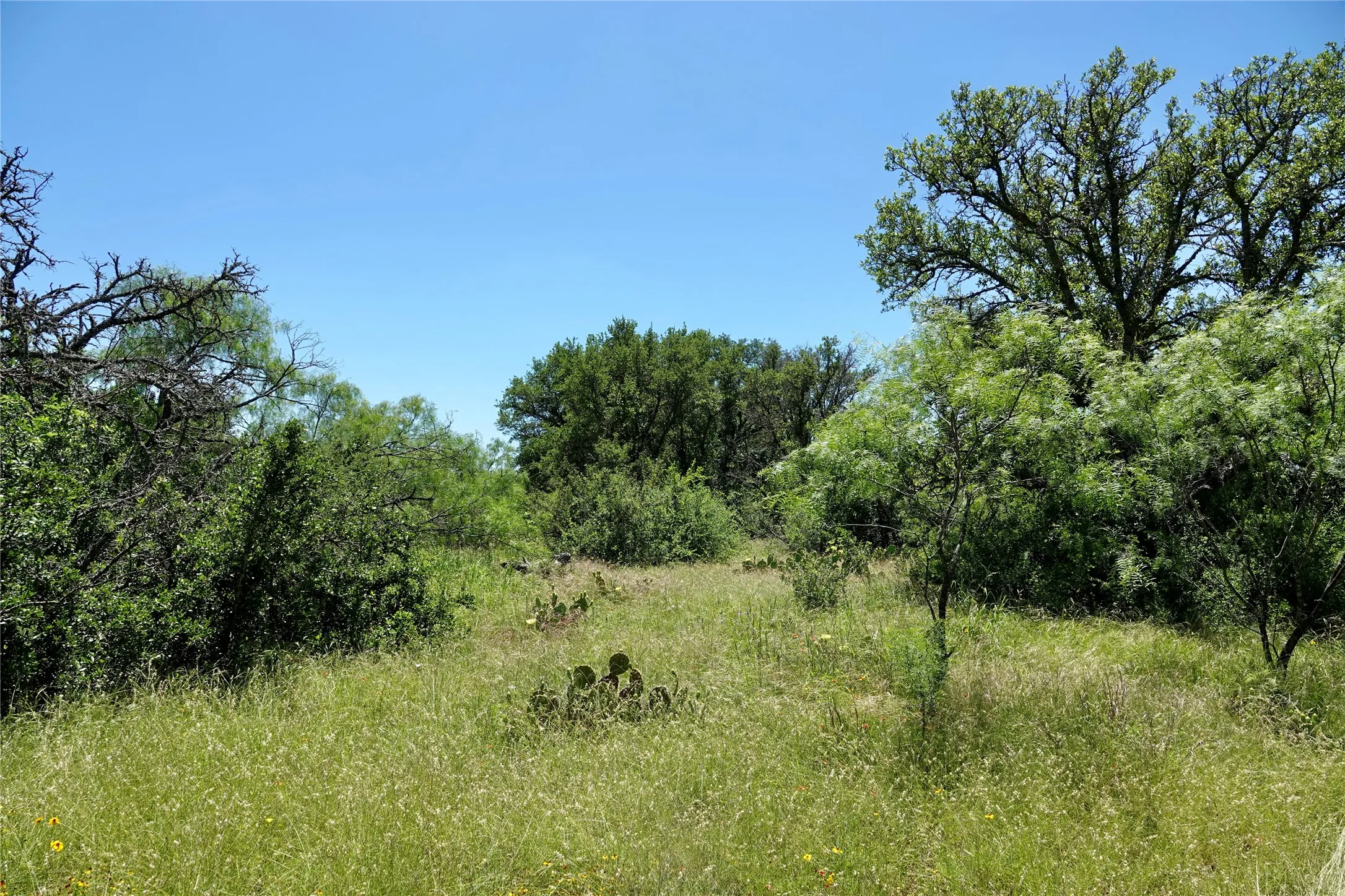 Ranch For Sale in Mills County , 219 CR 550, Mullin, Texas 76864, 0, 0, Garage spaces, 0 Sqft, built in 0, Price $845,000, mls#21187173, Real Estate Agent in Mullin, Homes For Sale in Mills county, Homes For Sale in Mullin, Realtor in Mullin Texas, Real Estate Brokerage Independent Realty Texas, Luminita Cordes Realtor