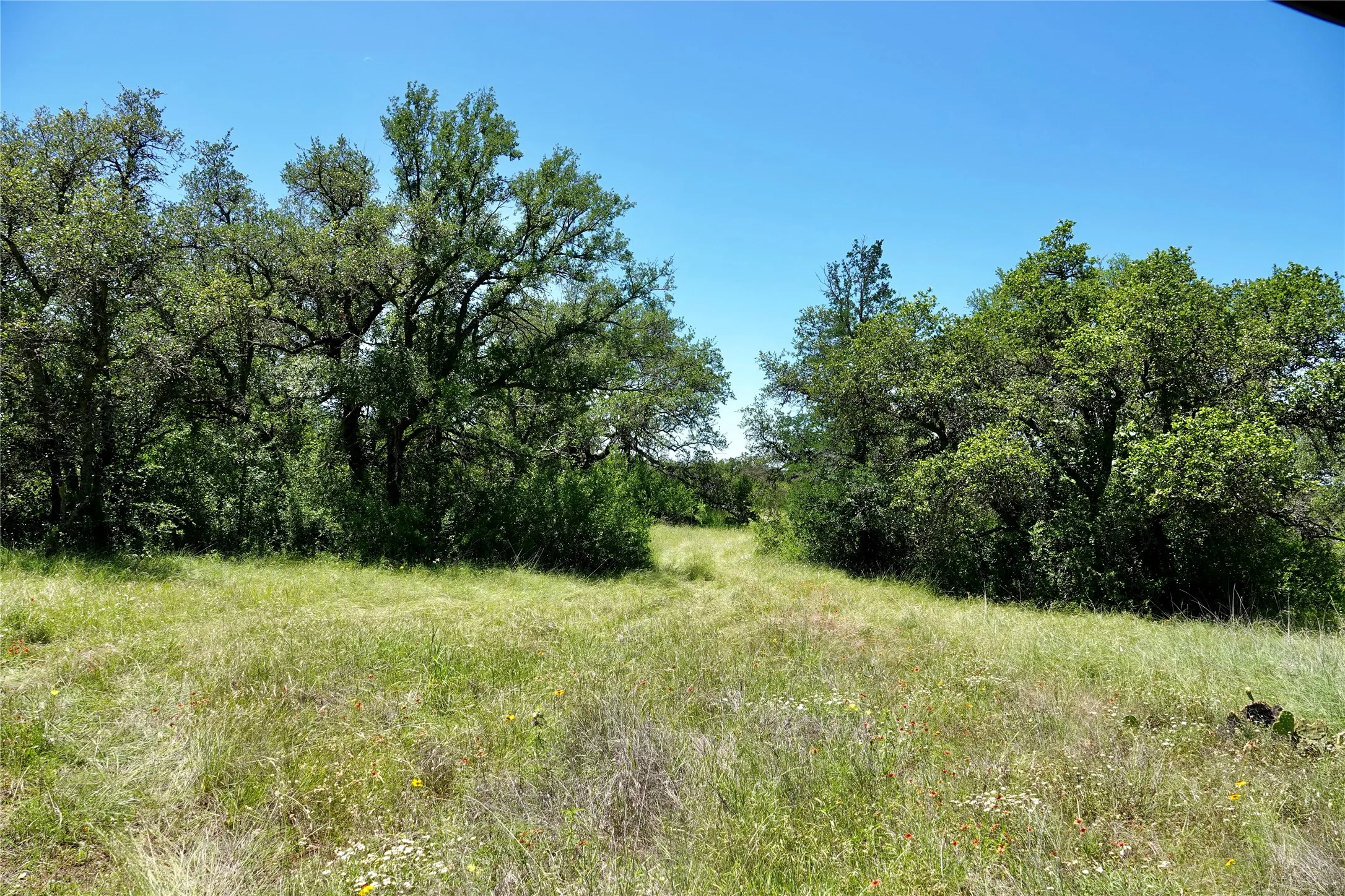Ranch For Sale in Mills County , 219 CR 550, Mullin, Texas 76864, 0, 0, Garage spaces, 0 Sqft, built in 0, Price $845,000, mls#21187173, Real Estate Agent in Mullin, Homes For Sale in Mills county, Homes For Sale in Mullin, Realtor in Mullin Texas, Real Estate Brokerage Independent Realty Texas, Luminita Cordes Realtor