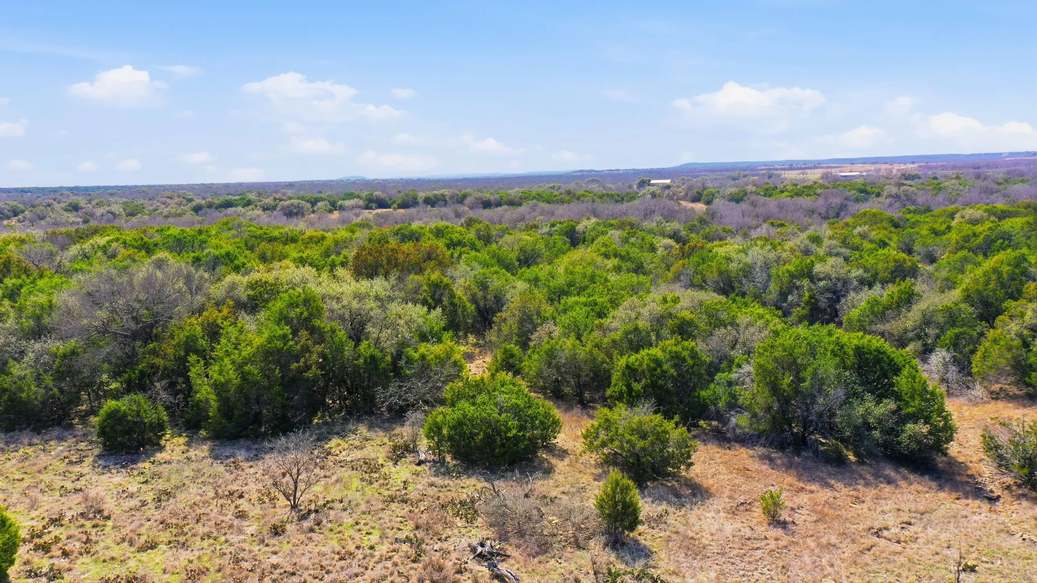Improved Land For Sale in Stephens County , 313 Hill Branch Lane, Breckenridge, Texas 76424, 0, 0, Garage spaces, 0 Sqft, built in 0, mls#21178894, Real Estate Agent in Breckenridge, Homes For Sale in Stephens county, Homes For Sale in Breckenridge, Realtor in Breckenridge Texas, Real Estate Brokerage Independent Realty Texas, Luminita Cordes Realtor