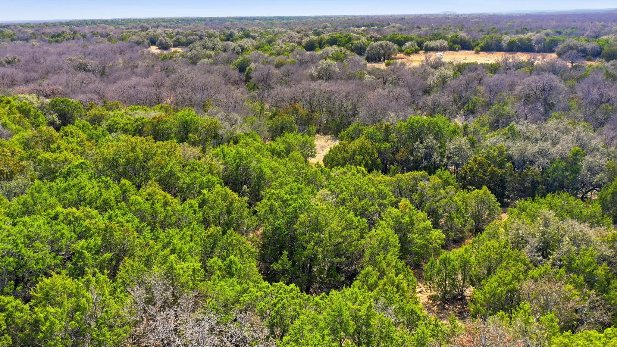Improved Land For Sale in Stephens County , 313 Hill Branch Lane, Breckenridge, Texas 76424, 0, 0, Garage spaces, 0 Sqft, built in 0, mls#21178894, Real Estate Agent in Breckenridge, Homes For Sale in Stephens county, Homes For Sale in Breckenridge, Realtor in Breckenridge Texas, Real Estate Brokerage Independent Realty Texas, Luminita Cordes Realtor