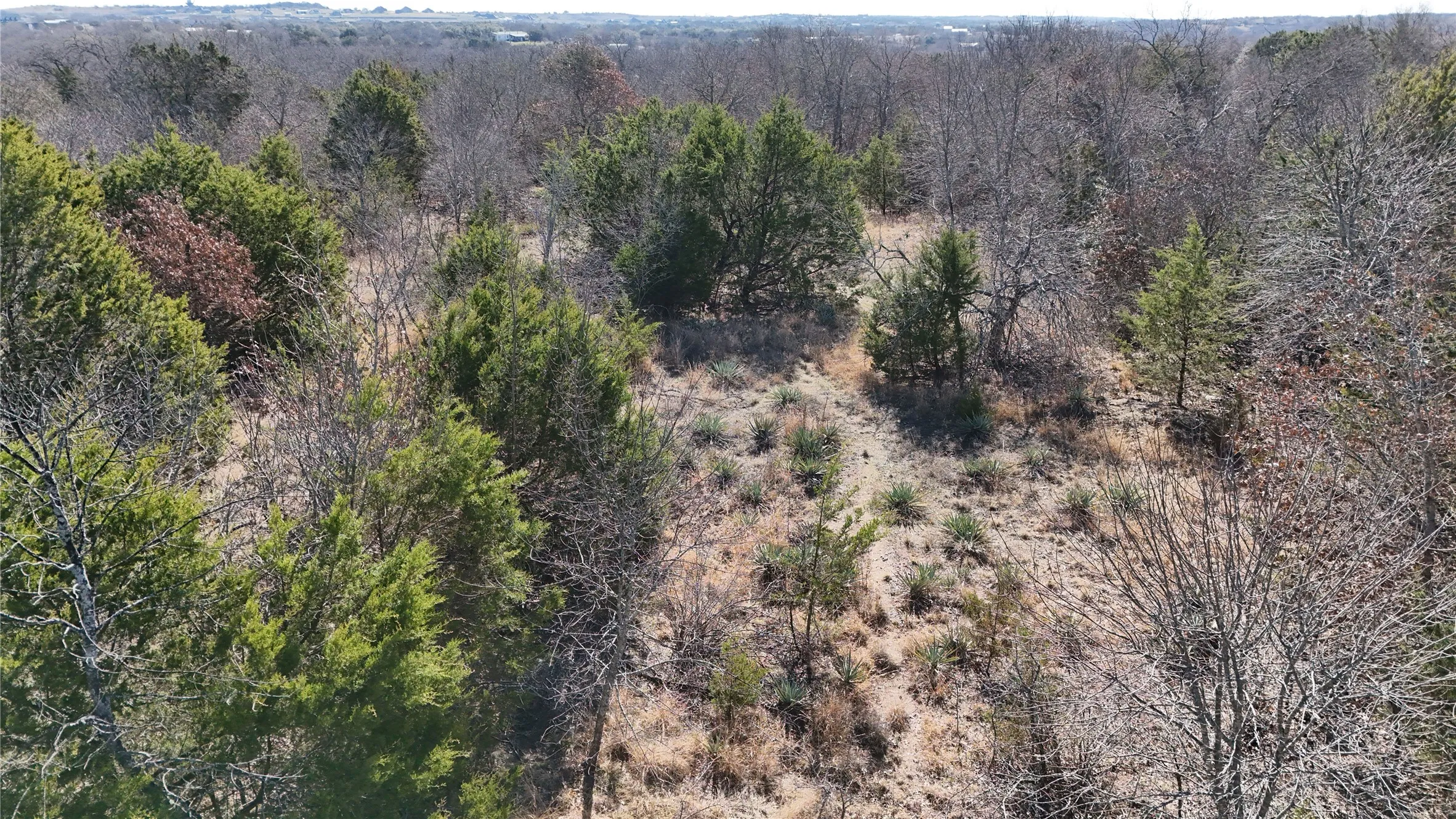 Unimproved Land For Sale in Parker County , 18 AC Prather Road, Springtown, Texas 76082, 0, 0, Garage spaces, 0 Sqft, built in 0, mls#21186134, Real Estate Agent in Springtown, Homes For Sale in Parker county, Homes For Sale in Springtown, Realtor in Springtown Texas, Real Estate Brokerage Independent Realty Texas, Luminita Cordes Realtor