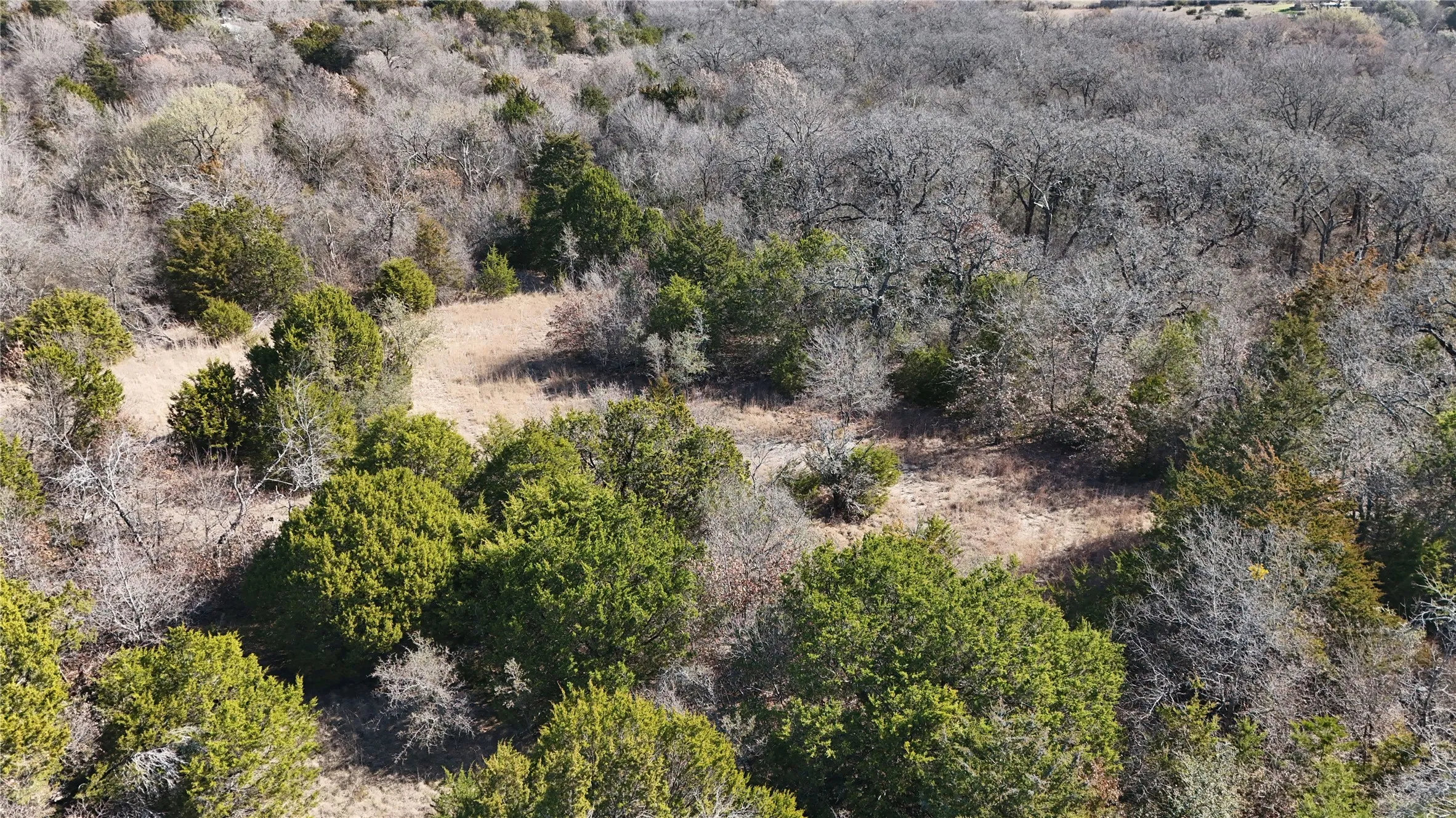 Unimproved Land For Sale in Parker County , 18 AC Prather Road, Springtown, Texas 76082, 0, 0, Garage spaces, 0 Sqft, built in 0, mls#21186134, Real Estate Agent in Springtown, Homes For Sale in Parker county, Homes For Sale in Springtown, Realtor in Springtown Texas, Real Estate Brokerage Independent Realty Texas, Luminita Cordes Realtor