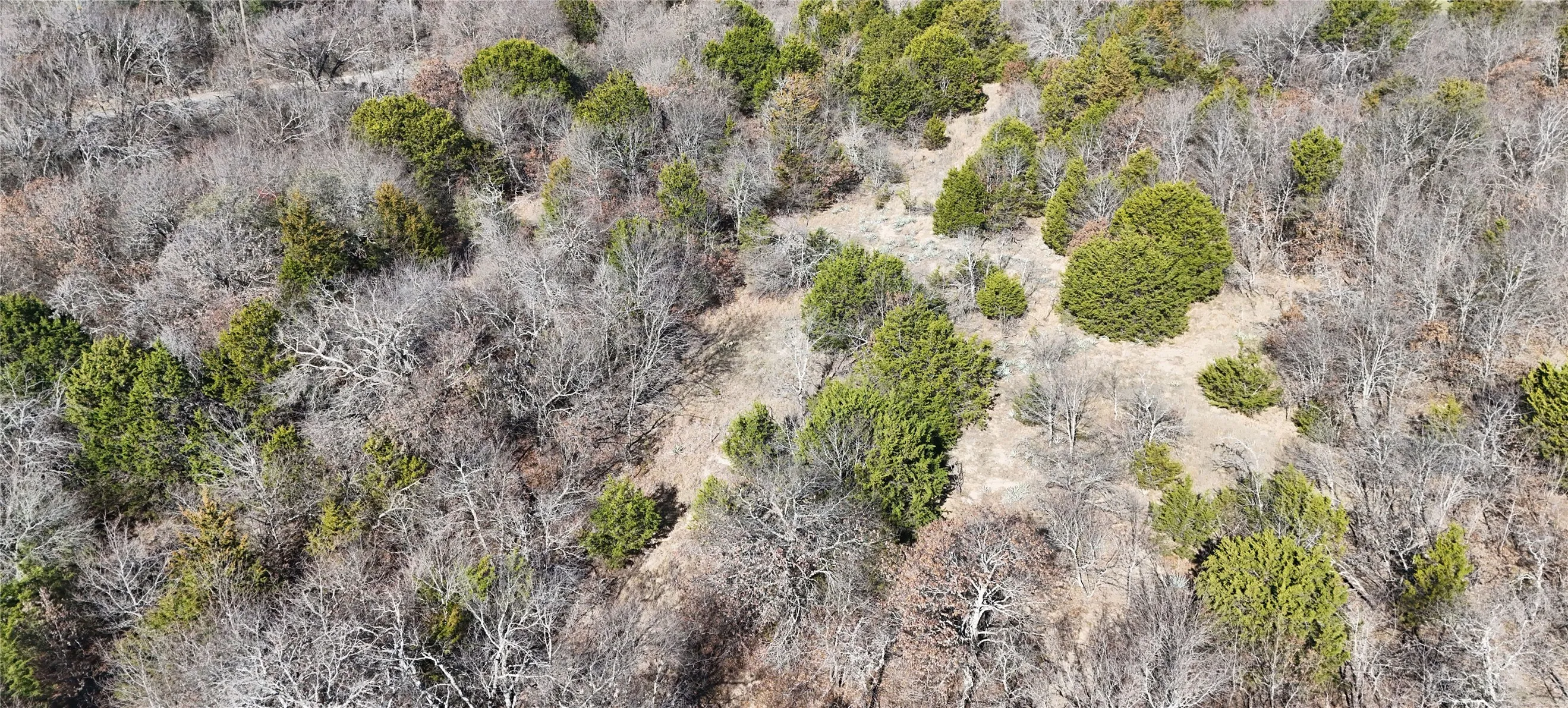 Unimproved Land For Sale in Parker County , 18 AC Prather Road, Springtown, Texas 76082, 0, 0, Garage spaces, 0 Sqft, built in 0, mls#21186134, Real Estate Agent in Springtown, Homes For Sale in Parker county, Homes For Sale in Springtown, Realtor in Springtown Texas, Real Estate Brokerage Independent Realty Texas, Luminita Cordes Realtor
