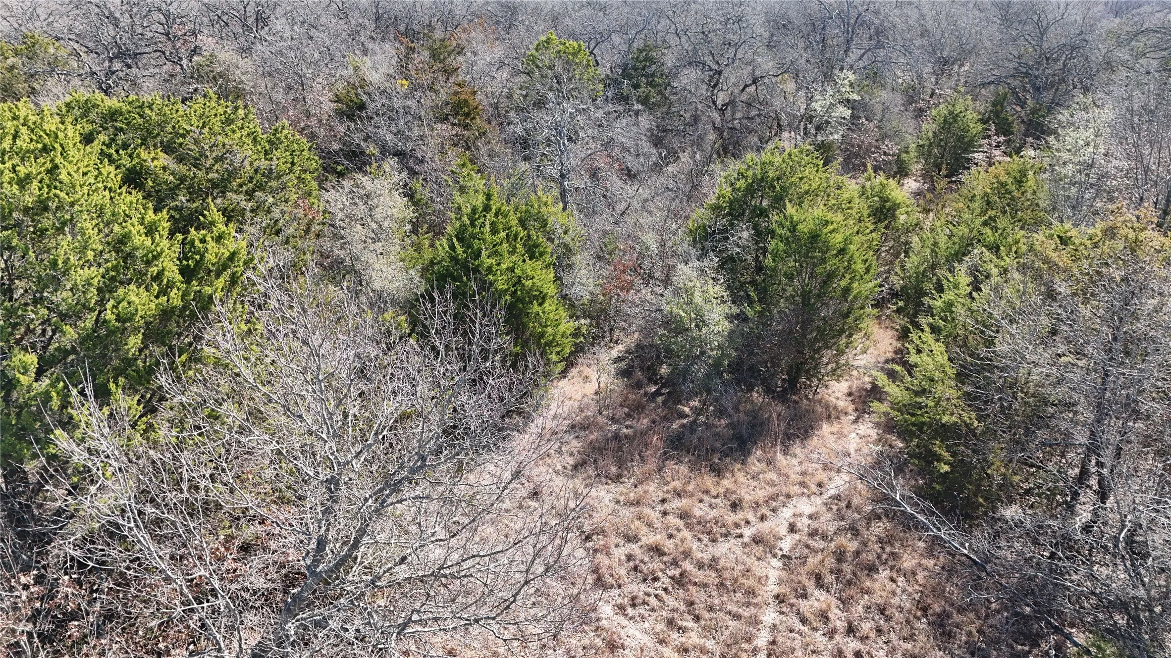 Unimproved Land For Sale in Parker County , 18 AC Prather Road, Springtown, Texas 76082, 0, 0, Garage spaces, 0 Sqft, built in 0, mls#21186134, Real Estate Agent in Springtown, Homes For Sale in Parker county, Homes For Sale in Springtown, Realtor in Springtown Texas, Real Estate Brokerage Independent Realty Texas, Luminita Cordes Realtor