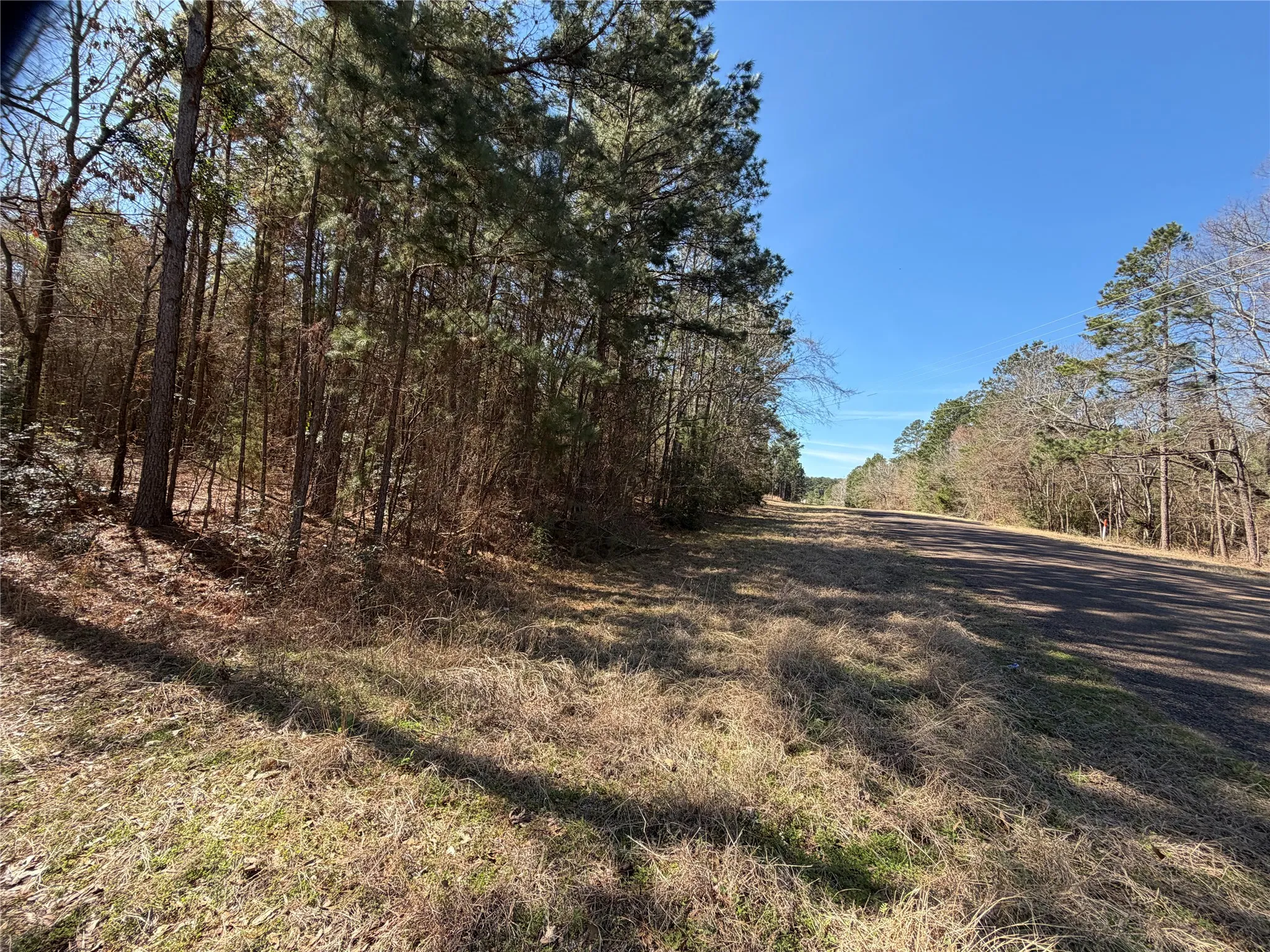 Unimproved Land For Sale in Cherokee County , 805 County Road 3210, Jacksonville, Texas 75766, 0, 0, Garage spaces, 0 Sqft, built in 0, Price $180,000, mls#21187446, Real Estate Agent in Jacksonville, Homes For Sale in Cherokee county, Homes For Sale in Jacksonville, Realtor in Jacksonville Texas, Real Estate Brokerage Independent Realty Texas, Luminita Cordes Realtor