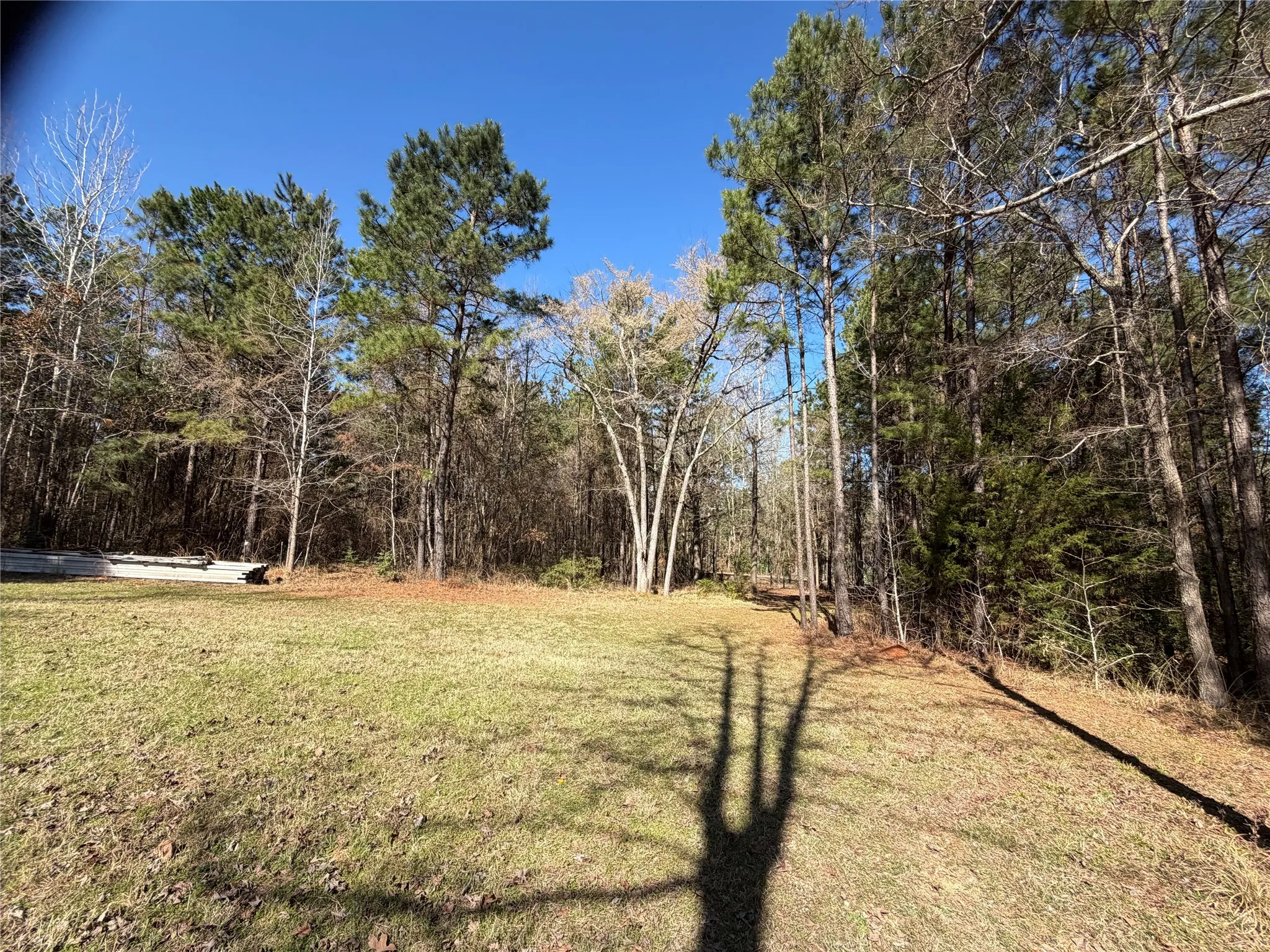 Unimproved Land For Sale in Cherokee County , 805 County Road 3210, Jacksonville, Texas 75766, 0, 0, Garage spaces, 0 Sqft, built in 0, Price $180,000, mls#21187446, Real Estate Agent in Jacksonville, Homes For Sale in Cherokee county, Homes For Sale in Jacksonville, Realtor in Jacksonville Texas, Real Estate Brokerage Independent Realty Texas, Luminita Cordes Realtor