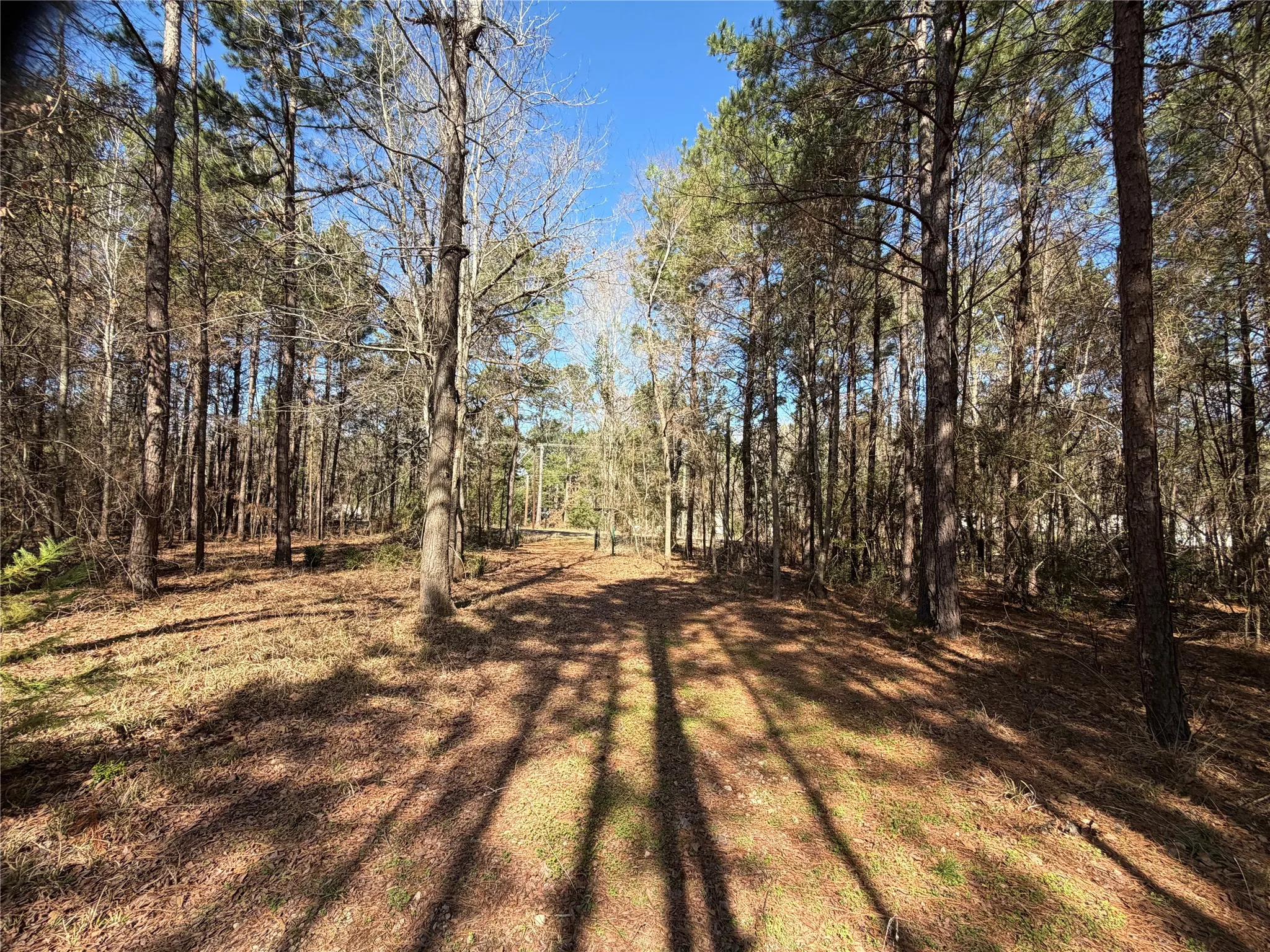 Unimproved Land For Sale in Cherokee County , 805 County Road 3210, Jacksonville, Texas 75766, 0, 0, Garage spaces, 0 Sqft, built in 0, Price $180,000, mls#21187446, Real Estate Agent in Jacksonville, Homes For Sale in Cherokee county, Homes For Sale in Jacksonville, Realtor in Jacksonville Texas, Real Estate Brokerage Independent Realty Texas, Luminita Cordes Realtor