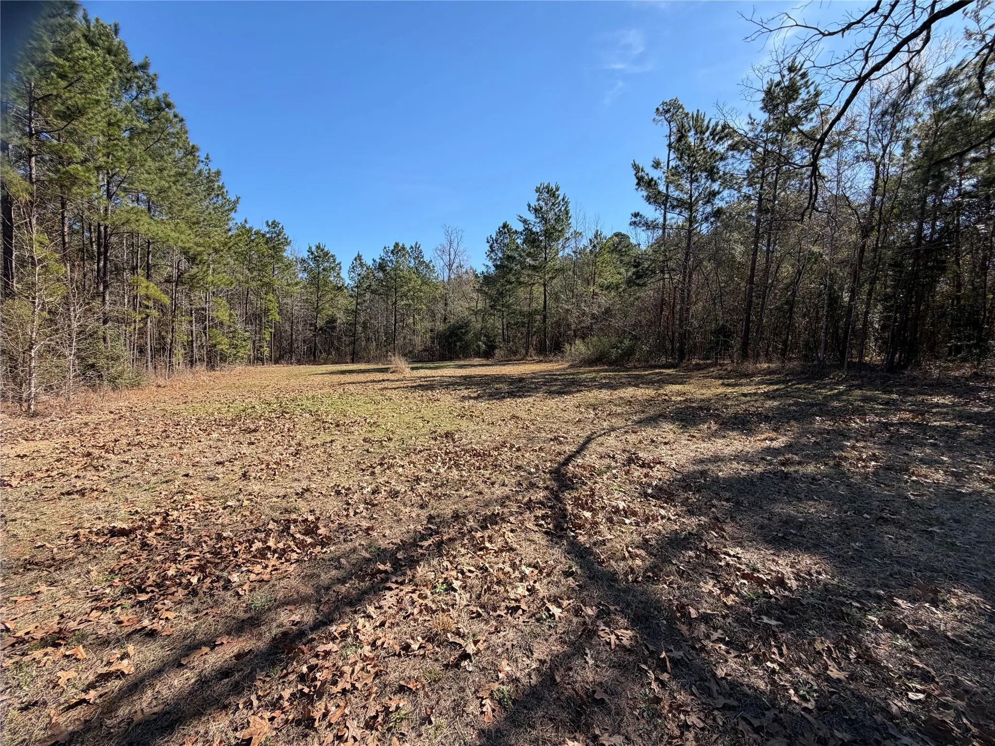 Unimproved Land For Sale in Cherokee County , 805 County Road 3210, Jacksonville, Texas 75766, 0, 0, Garage spaces, 0 Sqft, built in 0, Price $180,000, mls#21187446, Real Estate Agent in Jacksonville, Homes For Sale in Cherokee county, Homes For Sale in Jacksonville, Realtor in Jacksonville Texas, Real Estate Brokerage Independent Realty Texas, Luminita Cordes Realtor