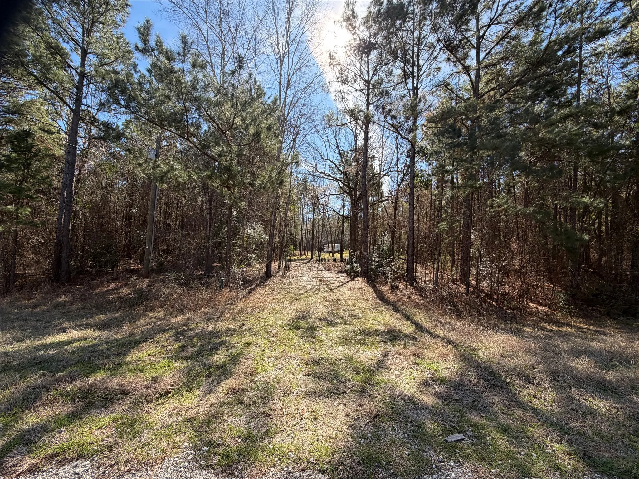 Unimproved Land For Sale in Cherokee County , 805 County Road 3210, Jacksonville, Texas 75766, 0, 0, Garage spaces, 0 Sqft, built in 0, Price $180,000, mls#21187446, Real Estate Agent in Jacksonville, Homes For Sale in Cherokee county, Homes For Sale in Jacksonville, Realtor in Jacksonville Texas, Real Estate Brokerage Independent Realty Texas, Luminita Cordes Realtor