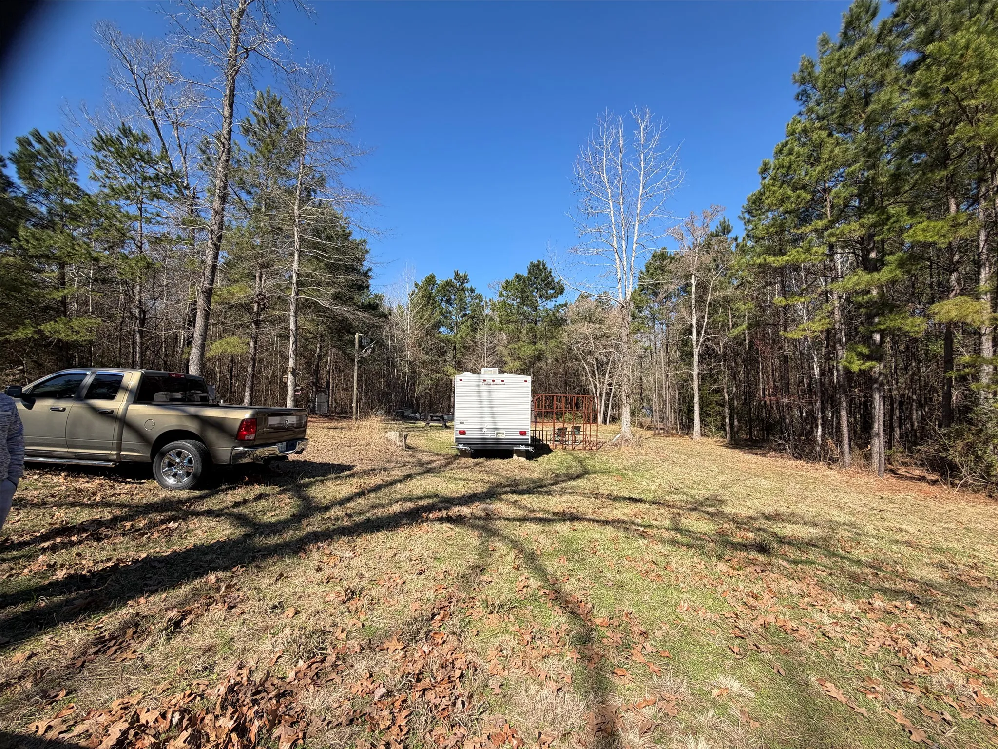 Unimproved Land For Sale in Cherokee County , 805 County Road 3210, Jacksonville, Texas 75766, 0, 0, Garage spaces, 0 Sqft, built in 0, Price $180,000, mls#21187446, Real Estate Agent in Jacksonville, Homes For Sale in Cherokee county, Homes For Sale in Jacksonville, Realtor in Jacksonville Texas, Real Estate Brokerage Independent Realty Texas, Luminita Cordes Realtor