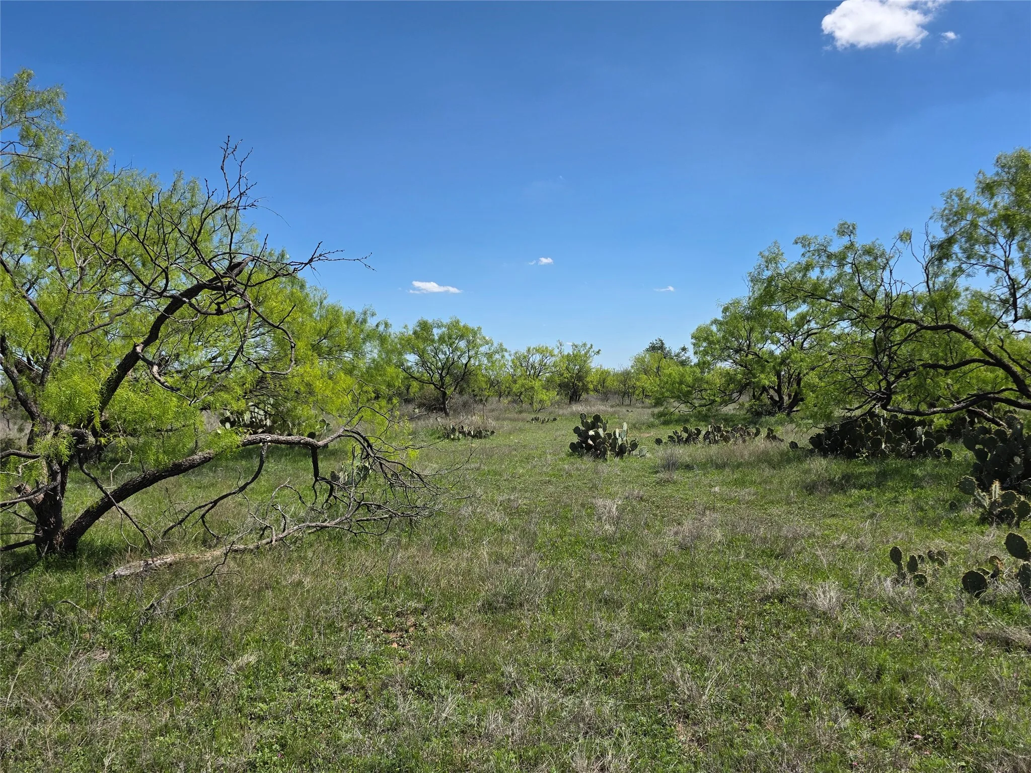 Single Family Residence For Sale in Coleman County , 1709 County Road 330, Voss, Texas 76888, 2 Bedrooms, 2 Bathrooms, 2 Garage spaces, 2,699 Sqft, built in 2000, Preowned, Price $1,074,850, mls#21187456, Real Estate Agent in Voss, Homes For Sale in Coleman county, Homes For Sale in Voss, Realtor in Voss Texas, Real Estate Brokerage Independent Realty Texas, Luminita Cordes Realtor