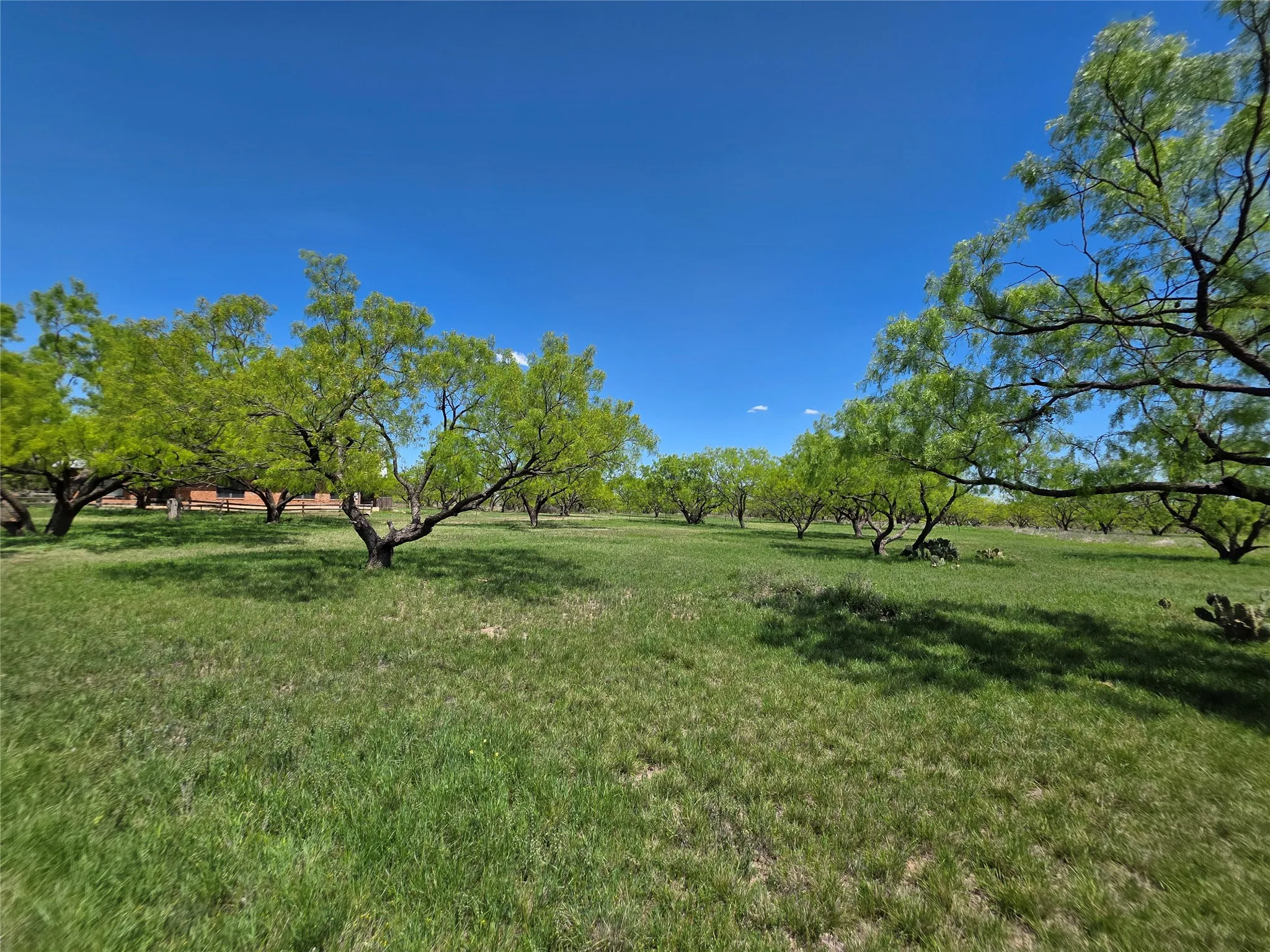 Single Family Residence For Sale in Coleman County , 1709 County Road 330, Voss, Texas 76888, 2 Bedrooms, 2 Bathrooms, 2 Garage spaces, 2,699 Sqft, built in 2000, Preowned, Price $1,074,850, mls#21187456, Real Estate Agent in Voss, Homes For Sale in Coleman county, Homes For Sale in Voss, Realtor in Voss Texas, Real Estate Brokerage Independent Realty Texas, Luminita Cordes Realtor