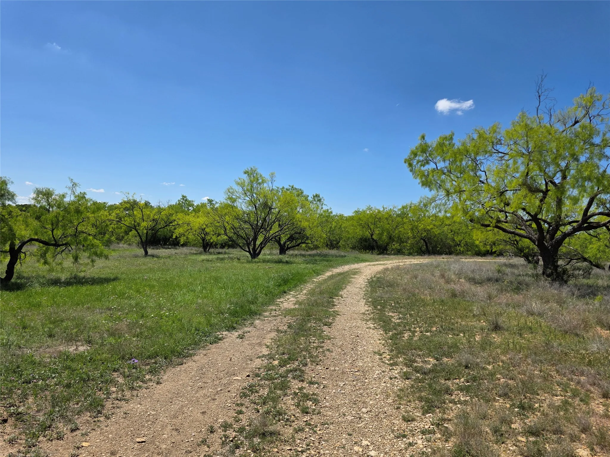 Single Family Residence For Sale in Coleman County , 1709 County Road 330, Voss, Texas 76888, 2 Bedrooms, 2 Bathrooms, 2 Garage spaces, 2,699 Sqft, built in 2000, Preowned, Price $1,074,850, mls#21187456, Real Estate Agent in Voss, Homes For Sale in Coleman county, Homes For Sale in Voss, Realtor in Voss Texas, Real Estate Brokerage Independent Realty Texas, Luminita Cordes Realtor