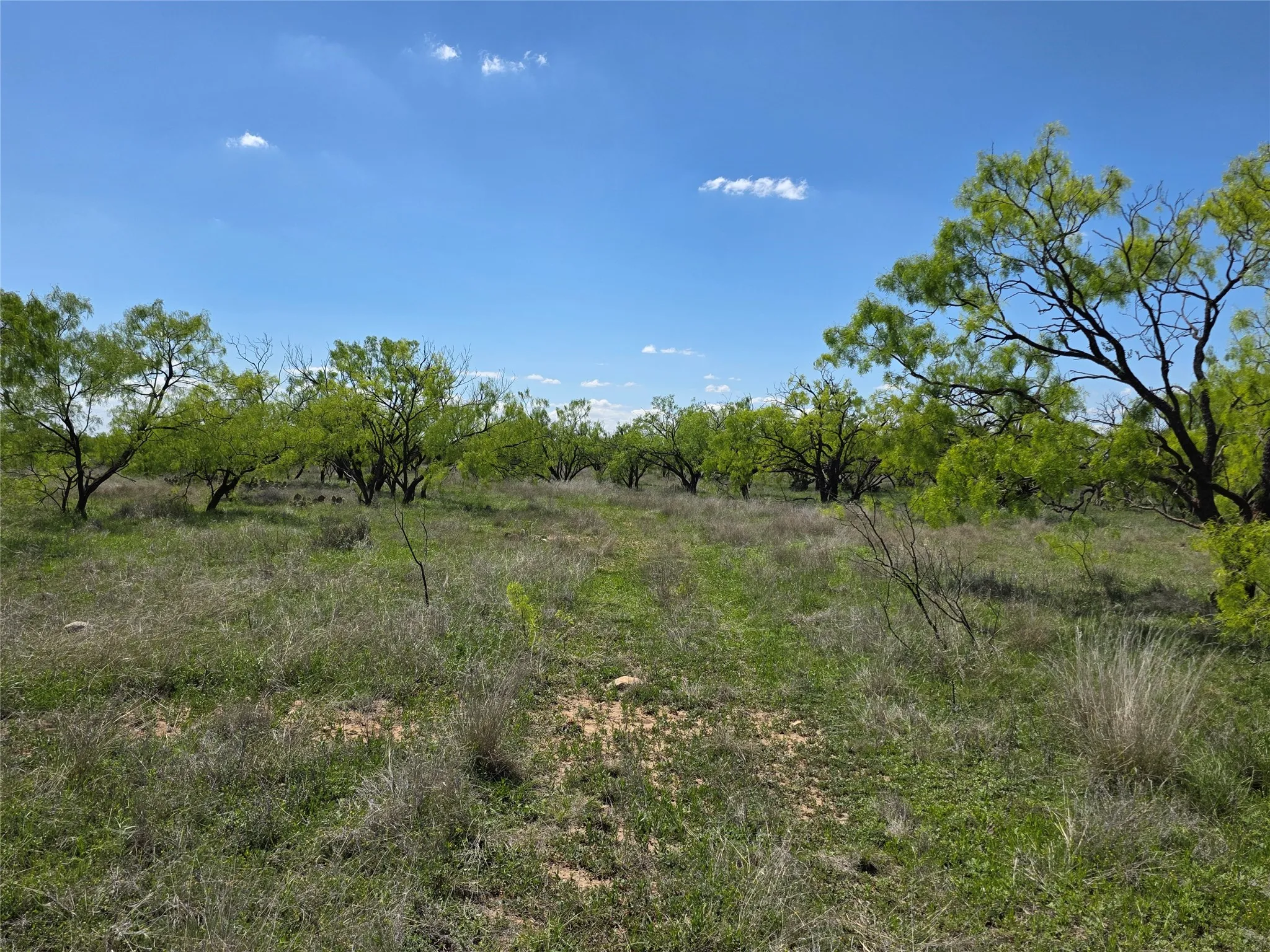 Single Family Residence For Sale in Coleman County , 1709 County Road 330, Voss, Texas 76888, 2 Bedrooms, 2 Bathrooms, 2 Garage spaces, 2,699 Sqft, built in 2000, Preowned, Price $1,074,850, mls#21187456, Real Estate Agent in Voss, Homes For Sale in Coleman county, Homes For Sale in Voss, Realtor in Voss Texas, Real Estate Brokerage Independent Realty Texas, Luminita Cordes Realtor