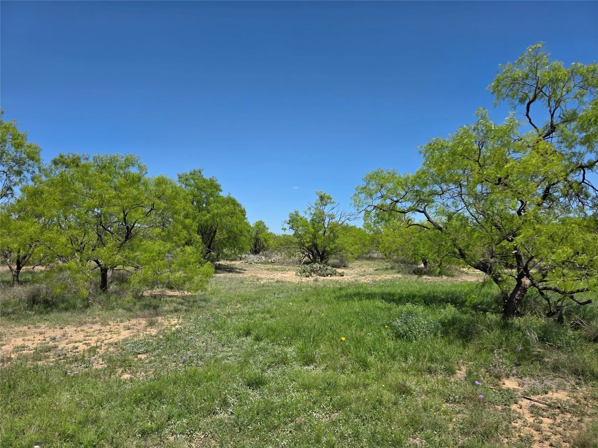 Single Family Residence For Sale in Coleman County , 1709 County Road 330, Voss, Texas 76888, 2 Bedrooms, 2 Bathrooms, 2 Garage spaces, 2,699 Sqft, built in 2000, Preowned, Price $1,074,850, mls#21187456, Real Estate Agent in Voss, Homes For Sale in Coleman county, Homes For Sale in Voss, Realtor in Voss Texas, Real Estate Brokerage Independent Realty Texas, Luminita Cordes Realtor