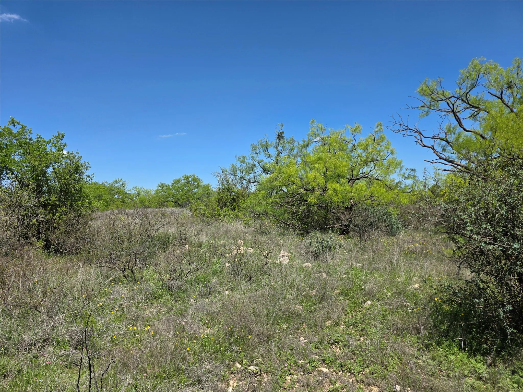 Single Family Residence For Sale in Coleman County , 1709 County Road 330, Voss, Texas 76888, 2 Bedrooms, 2 Bathrooms, 2 Garage spaces, 2,699 Sqft, built in 2000, Preowned, Price $1,074,850, mls#21187456, Real Estate Agent in Voss, Homes For Sale in Coleman county, Homes For Sale in Voss, Realtor in Voss Texas, Real Estate Brokerage Independent Realty Texas, Luminita Cordes Realtor
